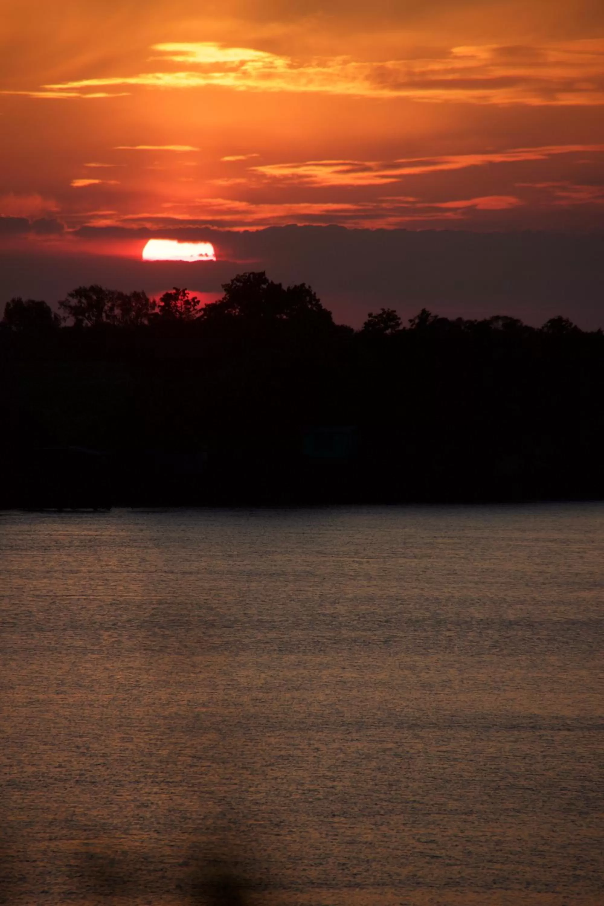 View (from property/room) in La Charentine