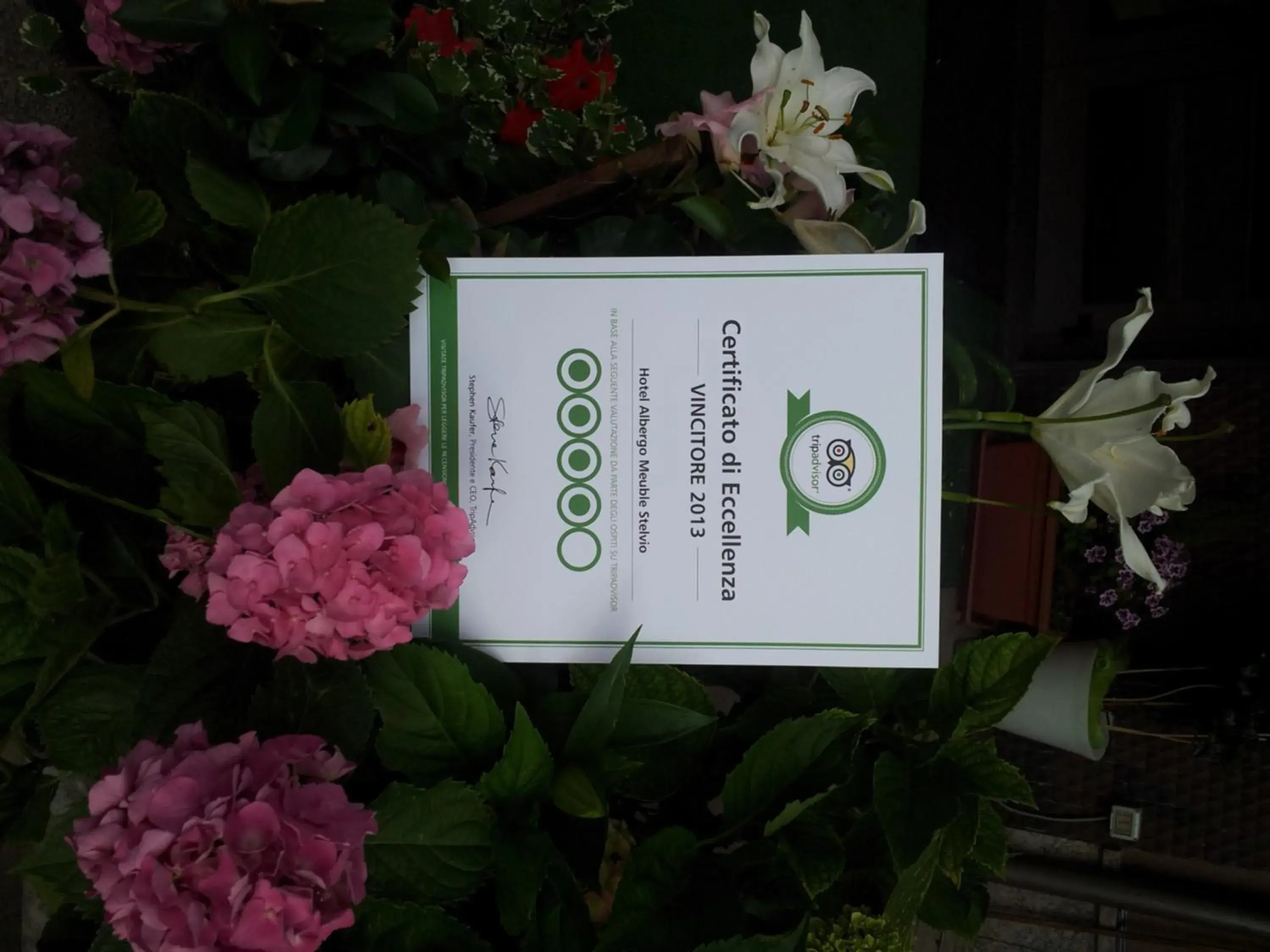 Certificate/Award, Property Logo/Sign in Albergo Meublè Stelvio