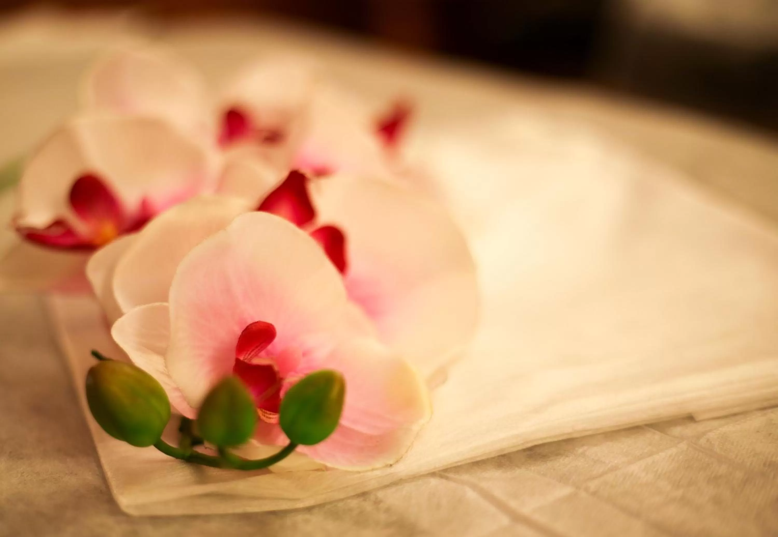 Activities in Sun Riviera Hotel