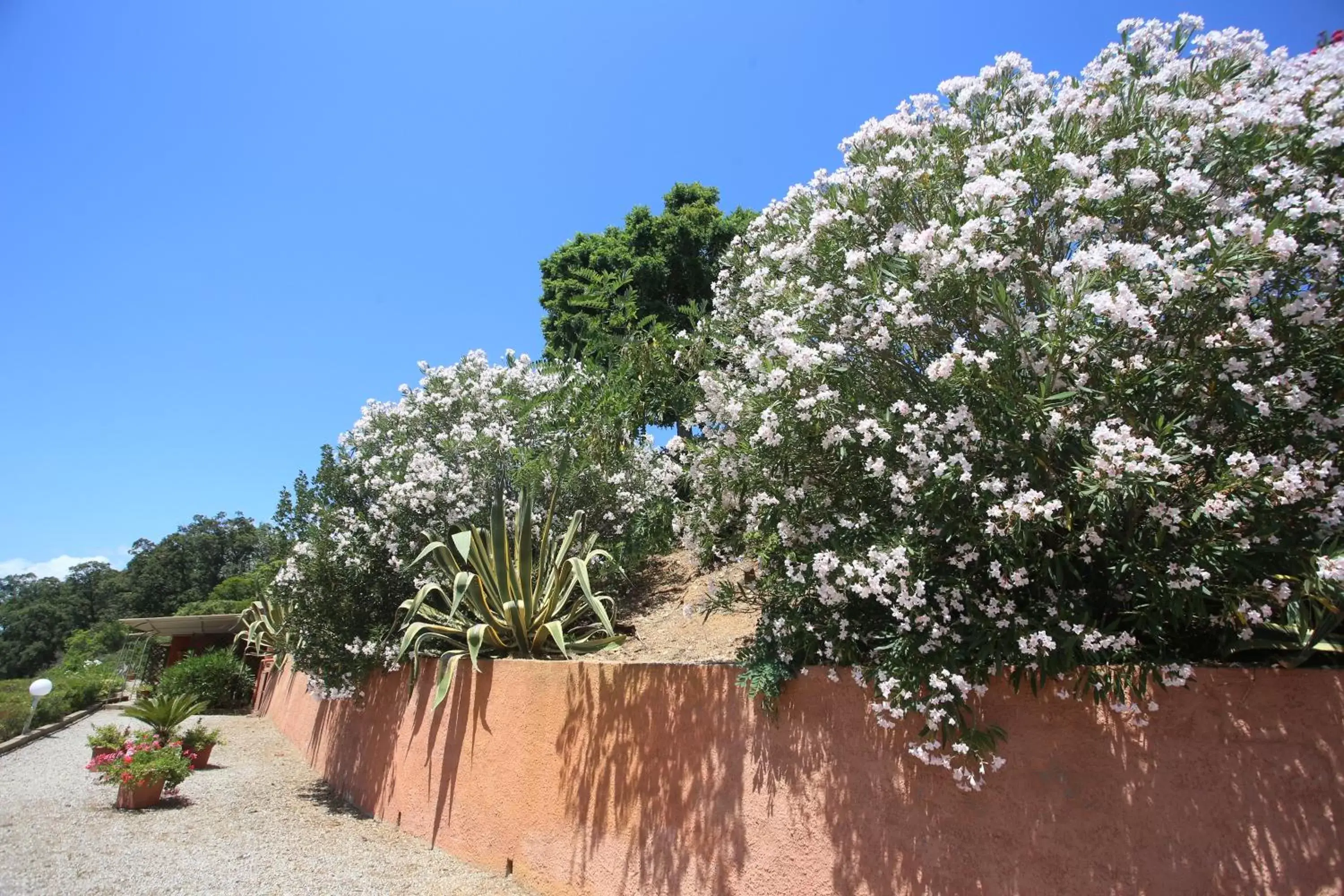 Garden, Beach in Ca' La Stella Sea-view Apartments