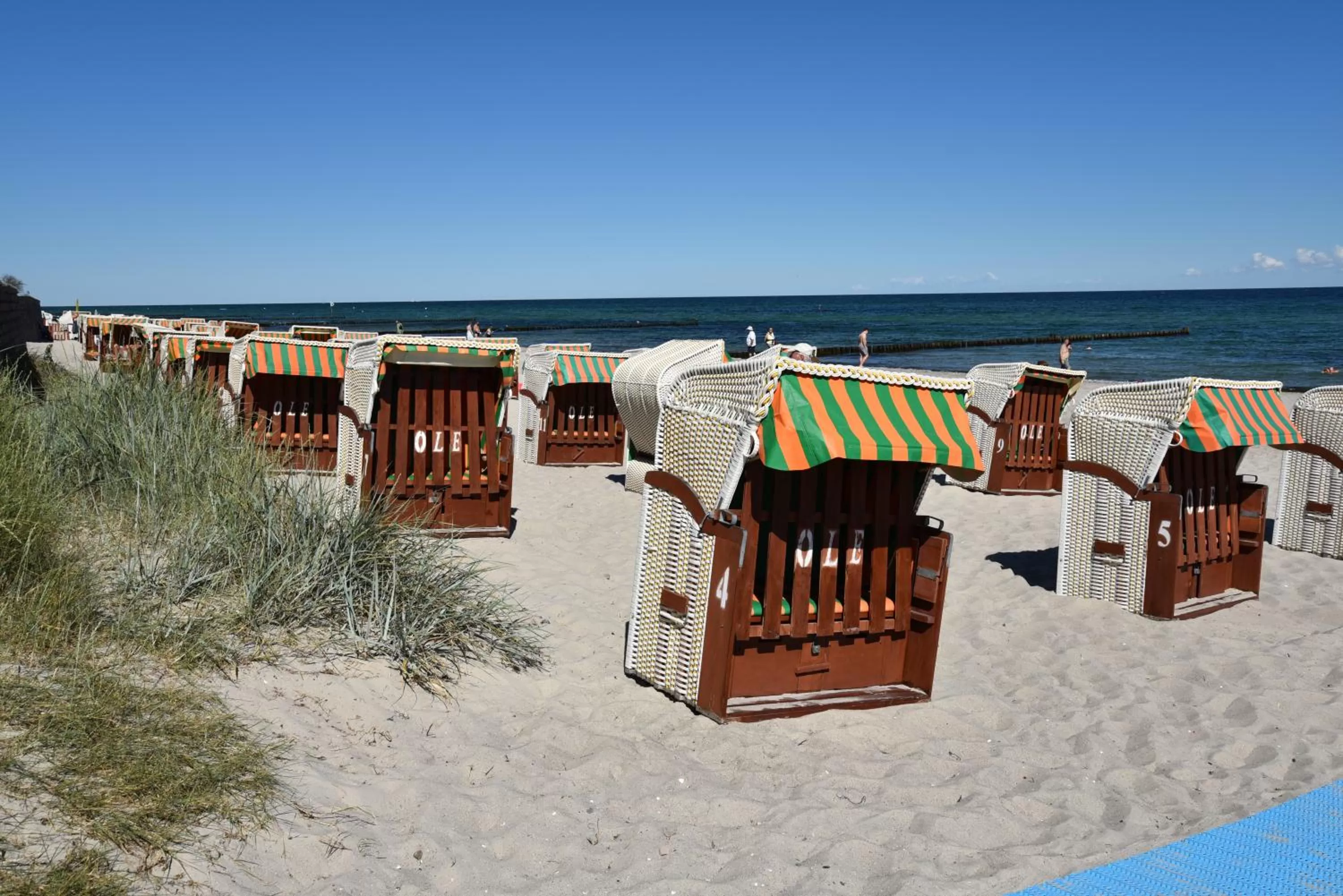 Natural landscape in Hotel Residenz Waldkrone Kühlungsborn
