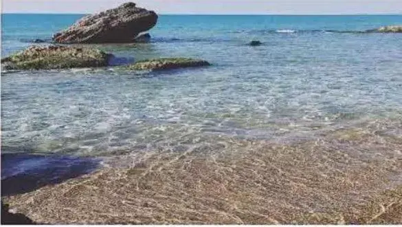 Nearby landmark, Beach in B&B Batarà - "La Terrazza del Centro"