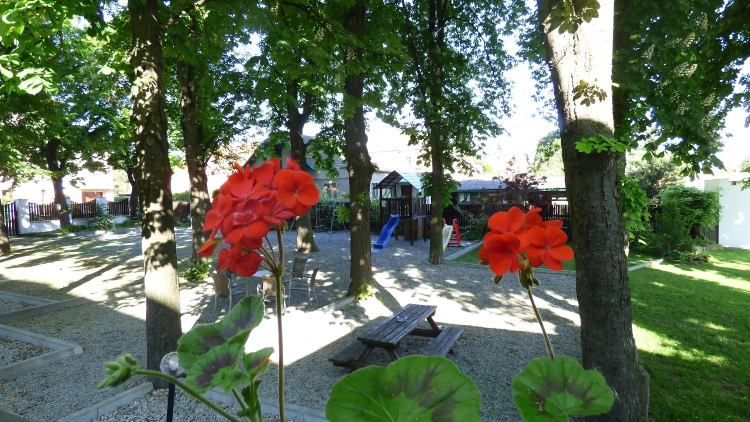 Garden in Hotel Svornost