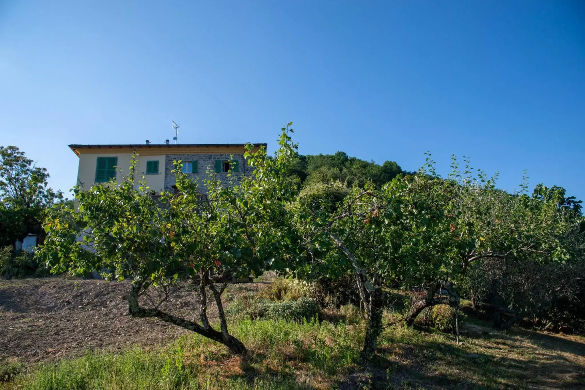 Property Building in La Beppa - Casa Vacanza