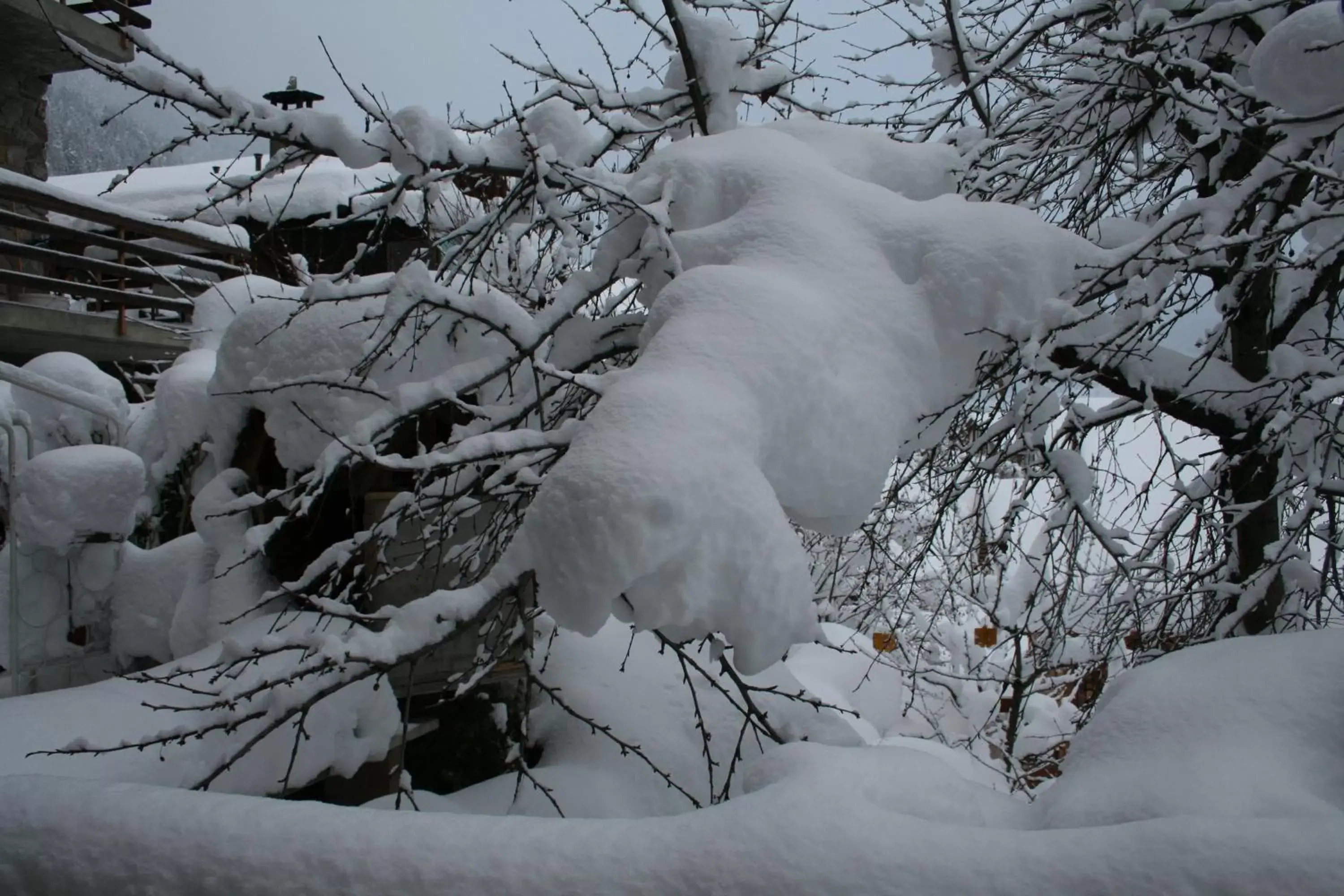 Winter in BnB Claudy et Elizabeth Michellod-Dutheil