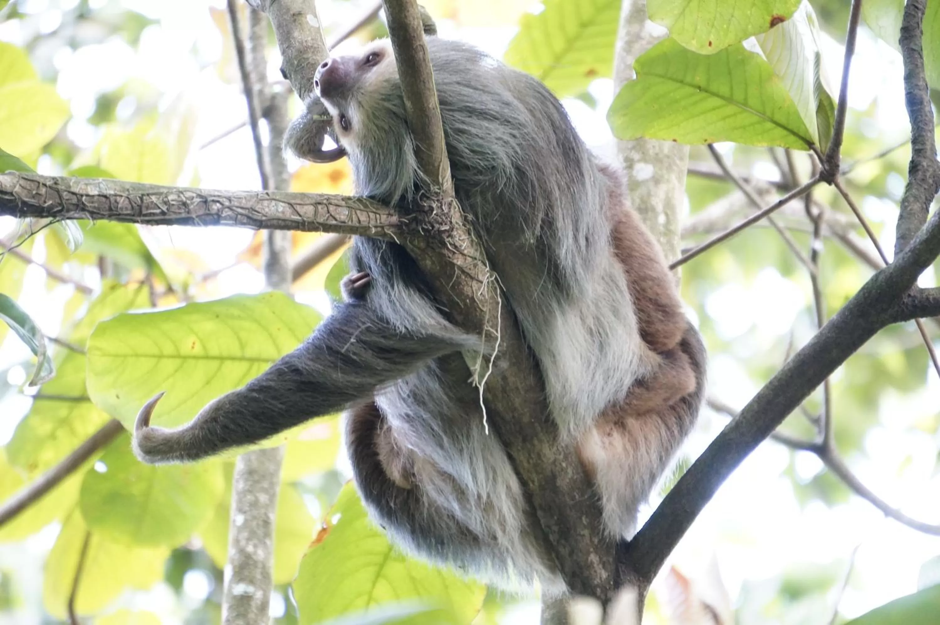 Area and facilities in Hotel Monte Real
