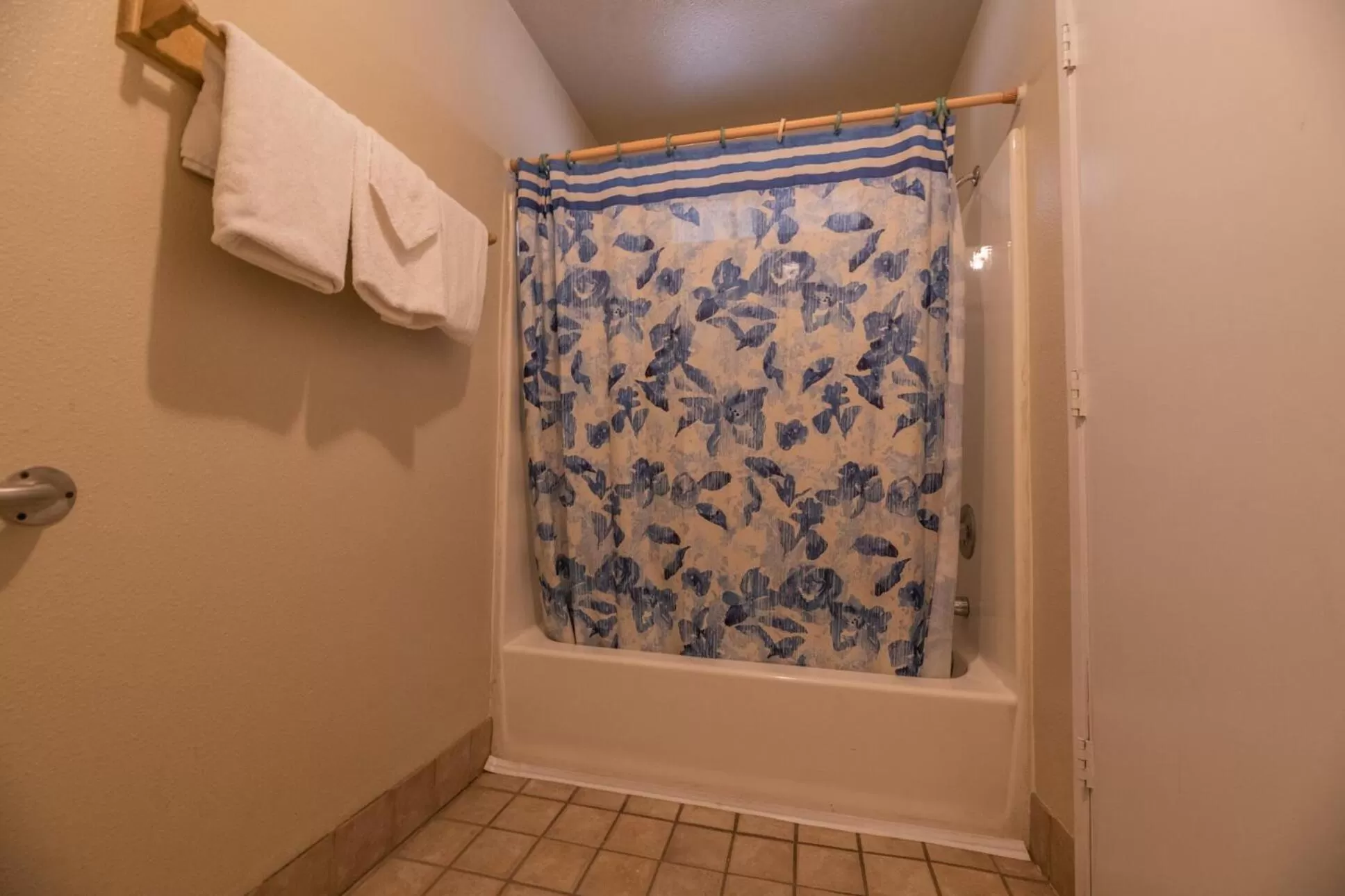 Bathroom in Black Forest Lodge