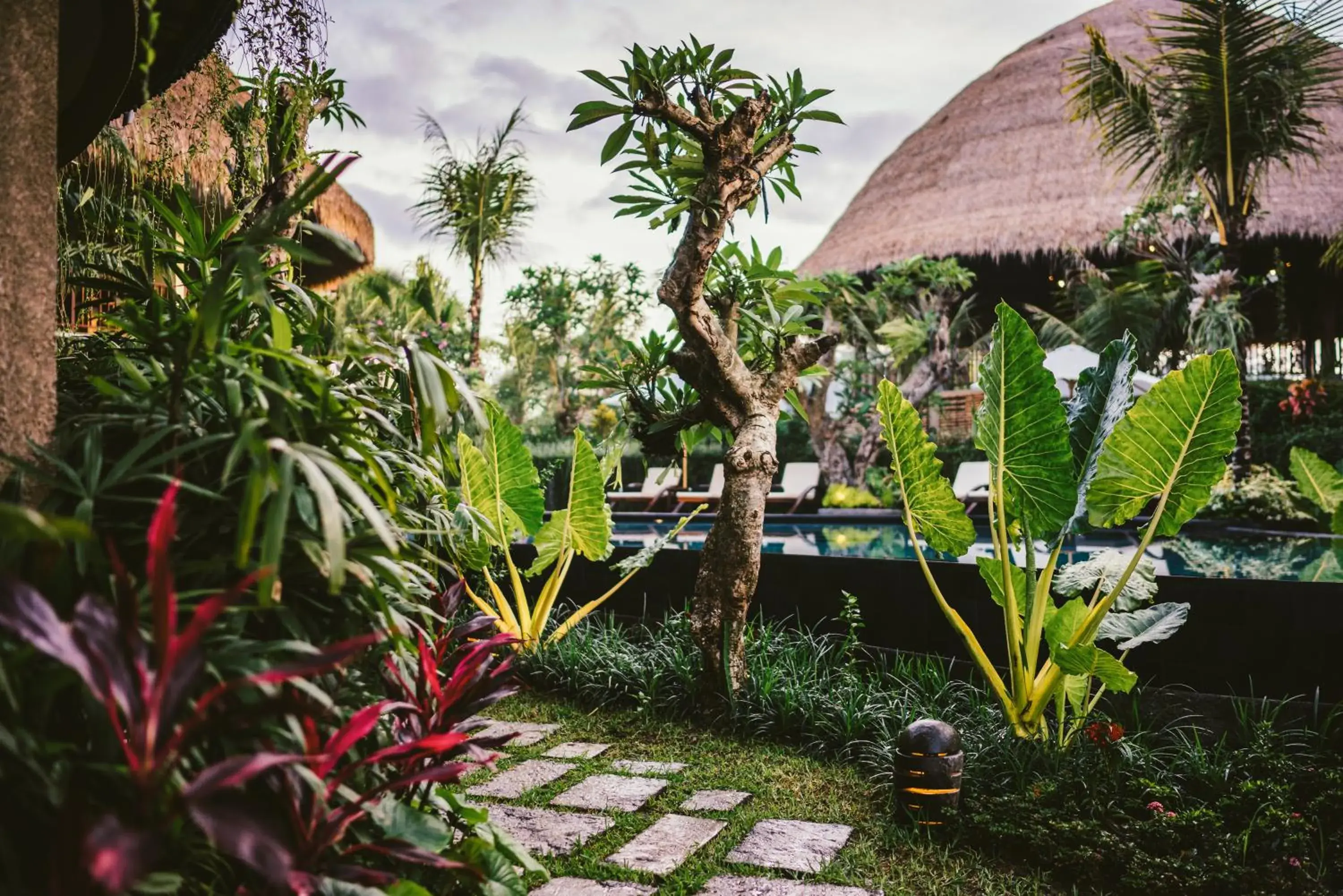 Garden in Honai Resort