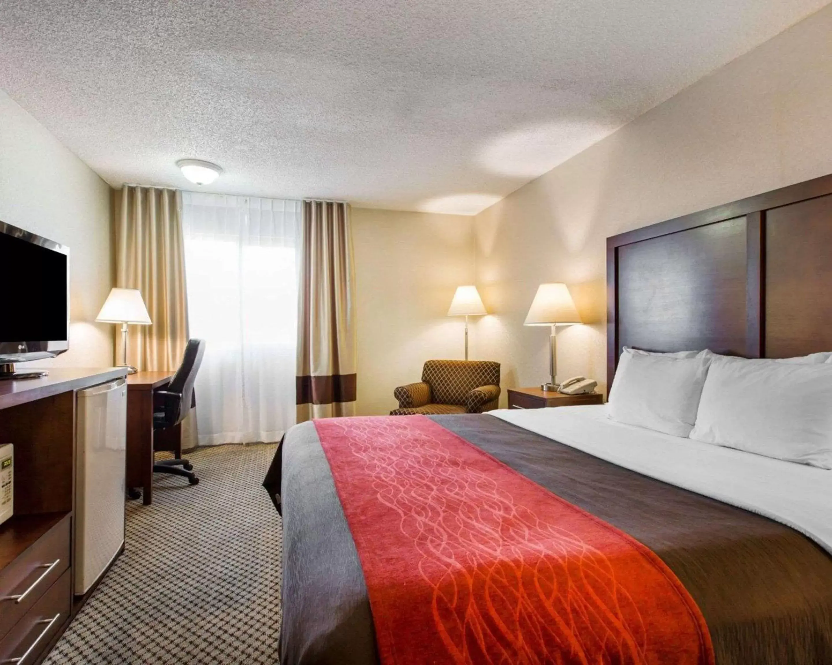 Photo of the whole room, Bed in Comfort Inn & Suites Moreno Valley near March Air Reserve Base