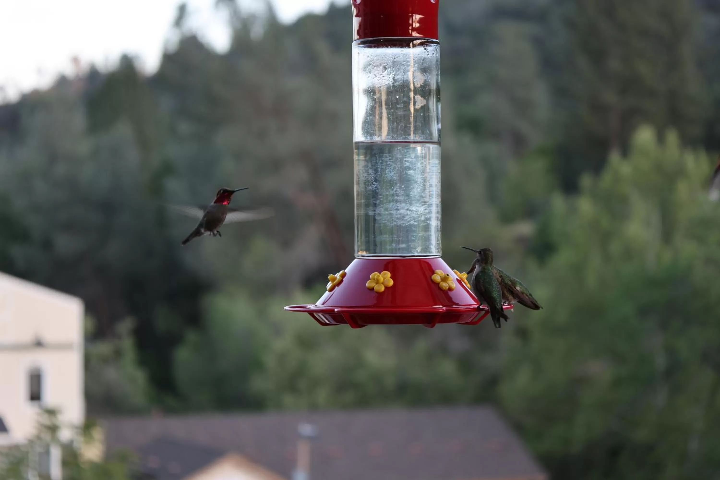 Property building in Mariposa Hotel Inn