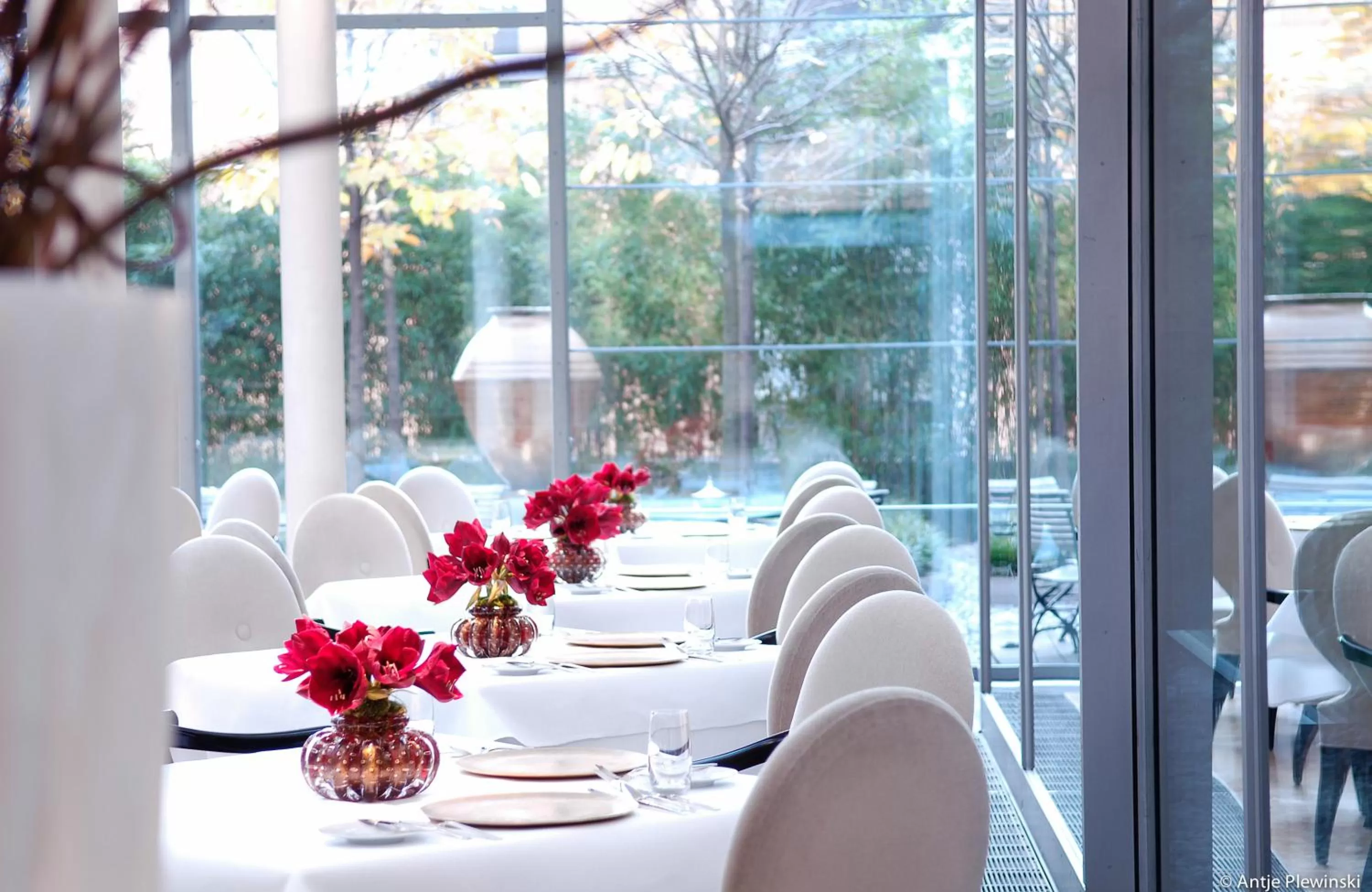 Restaurant/places to eat in The Mandala Berlin, a Member of Design Hotels