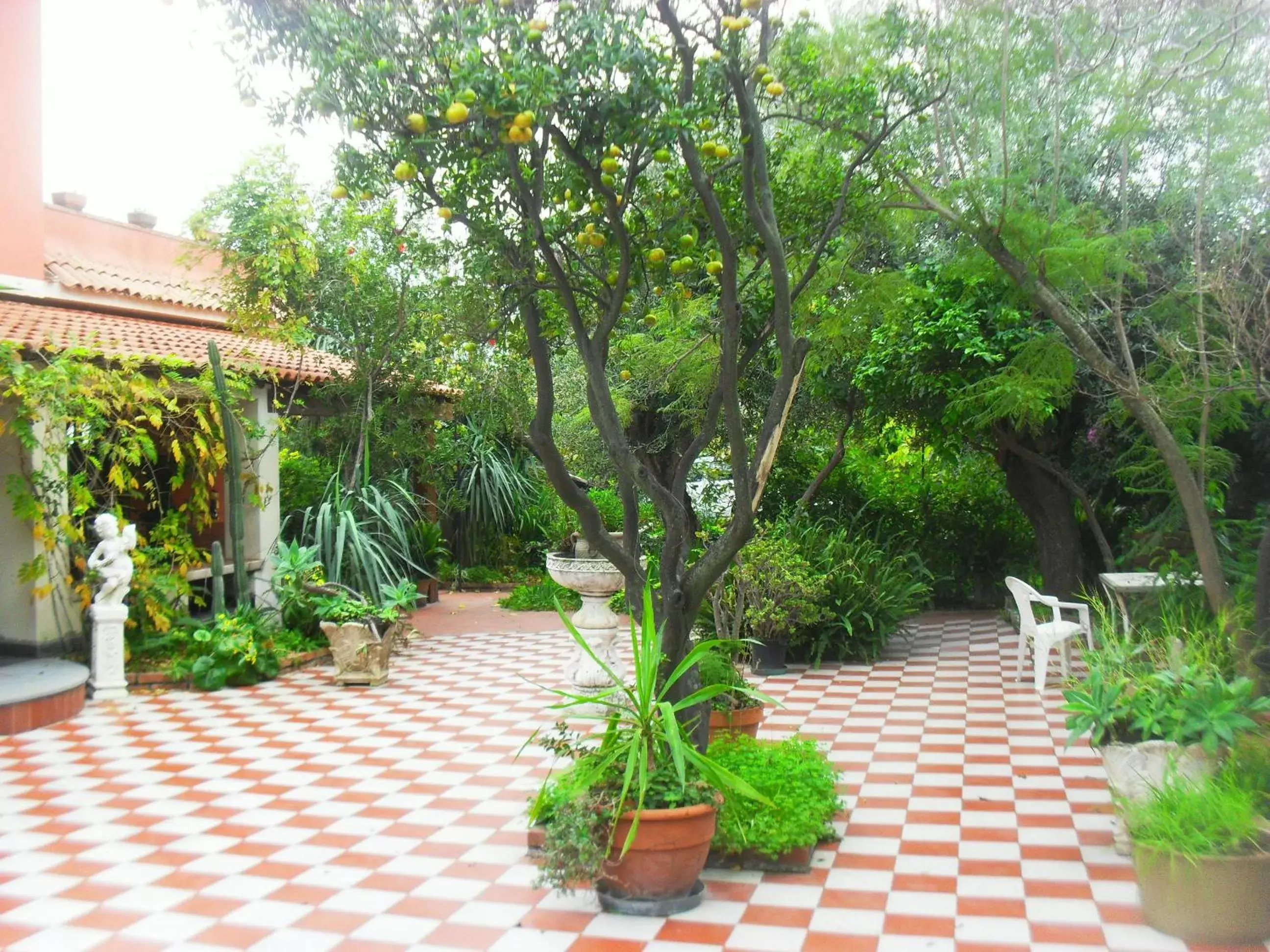 Balcony/Terrace, Garden in B&B Villa Lidia