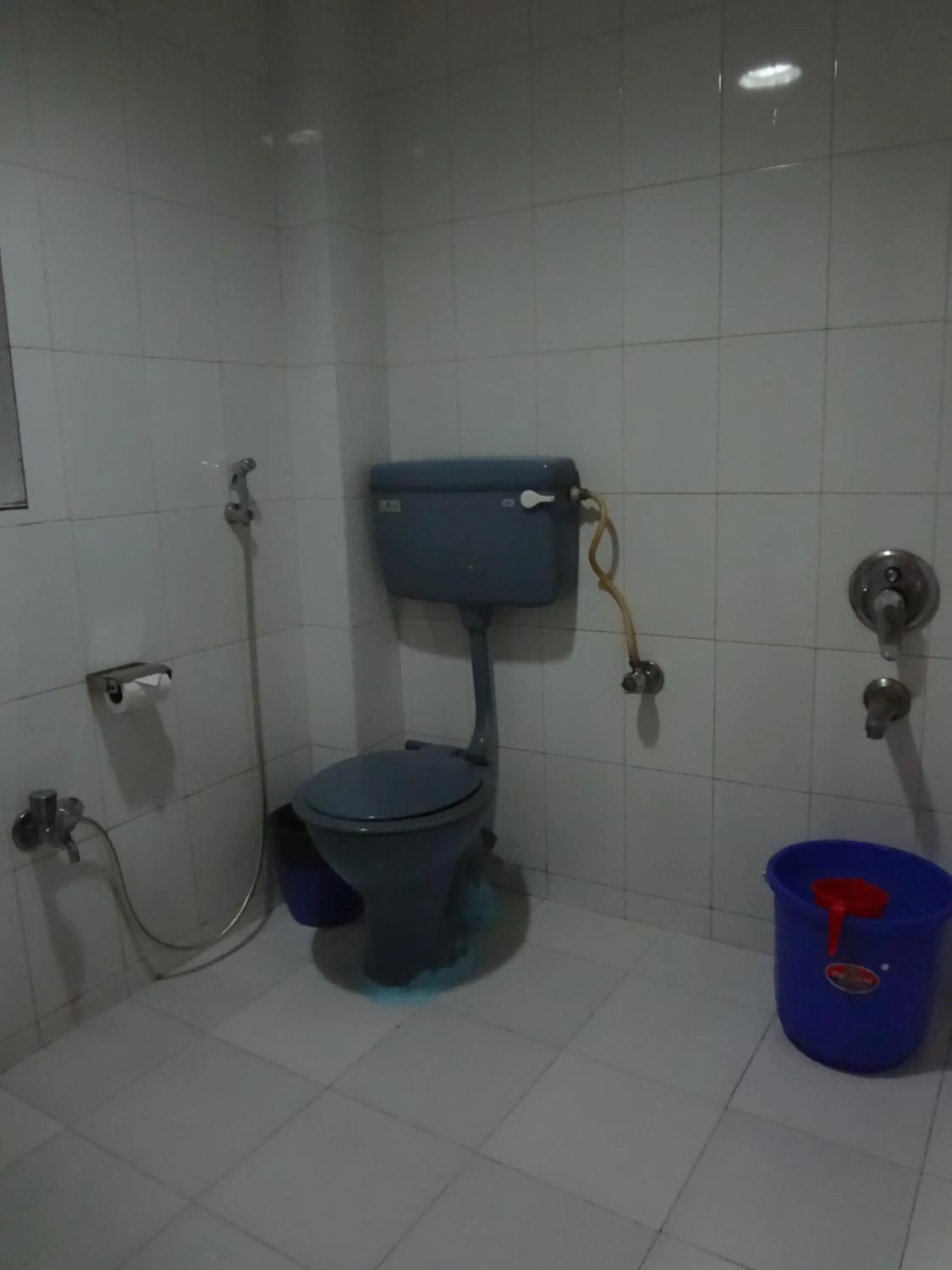 Toilet in Hotel New Bengal