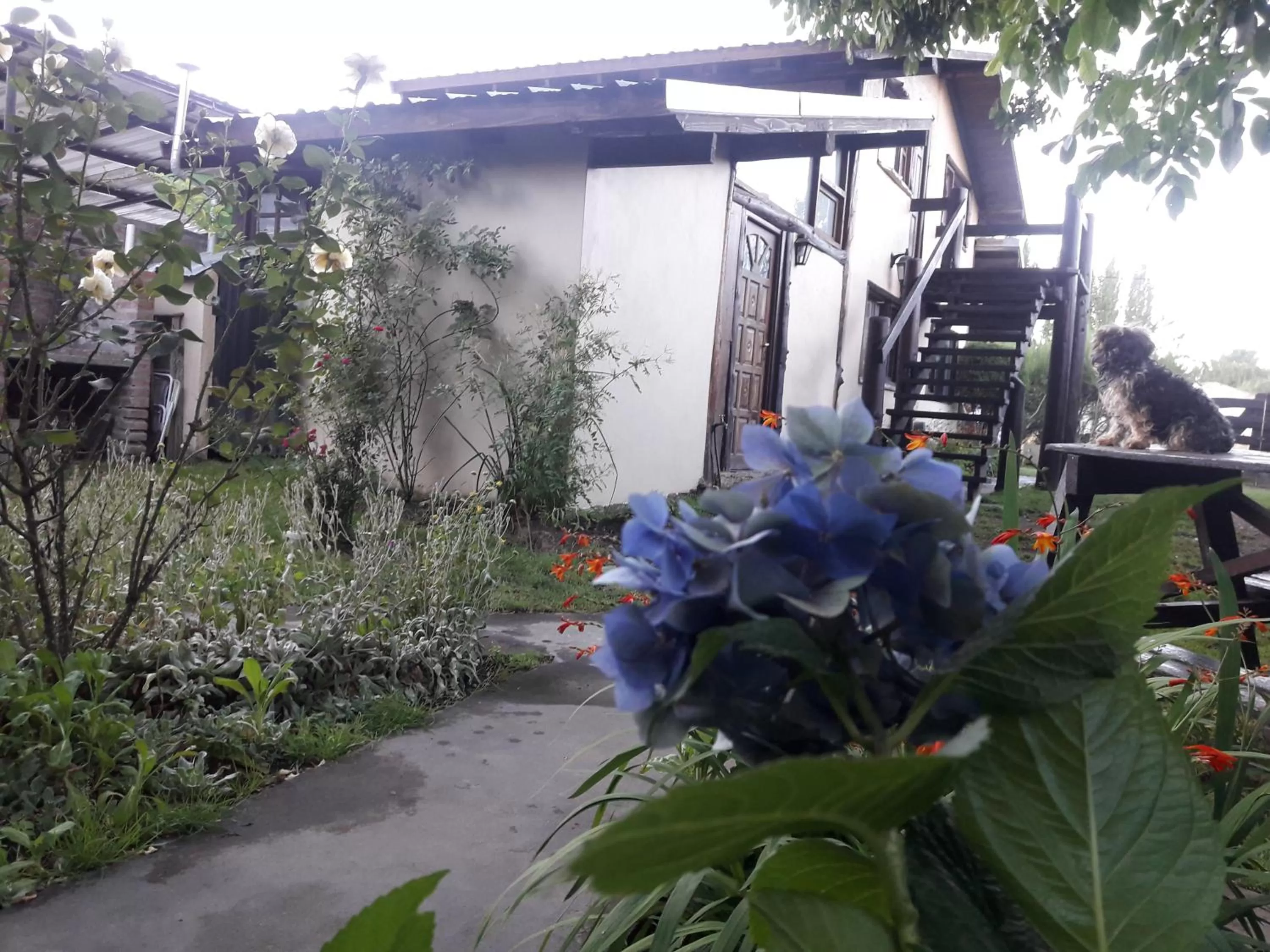 Apartment in Cabañas Los Nonos