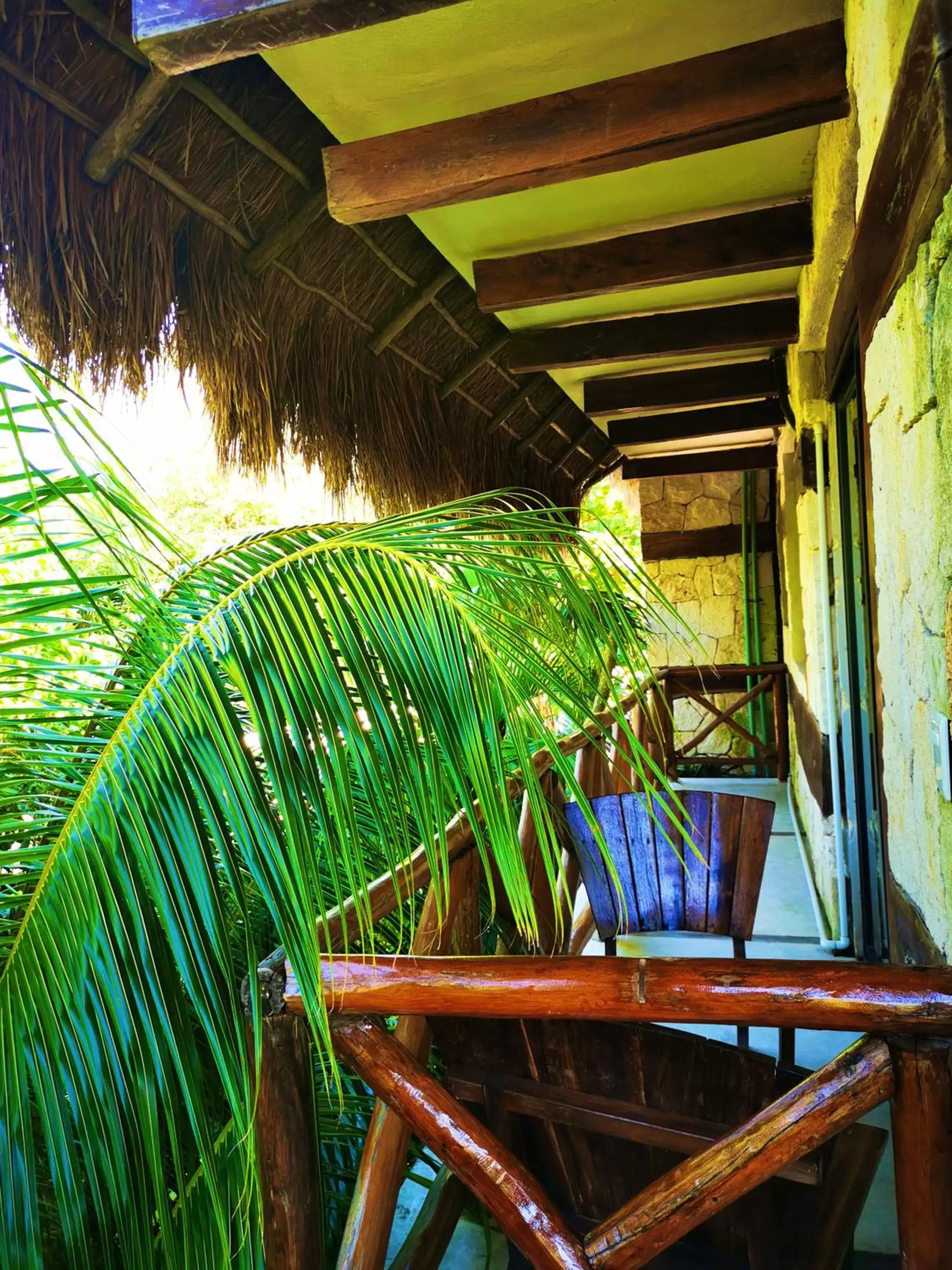 Property building in La Casa de Mia Tulum