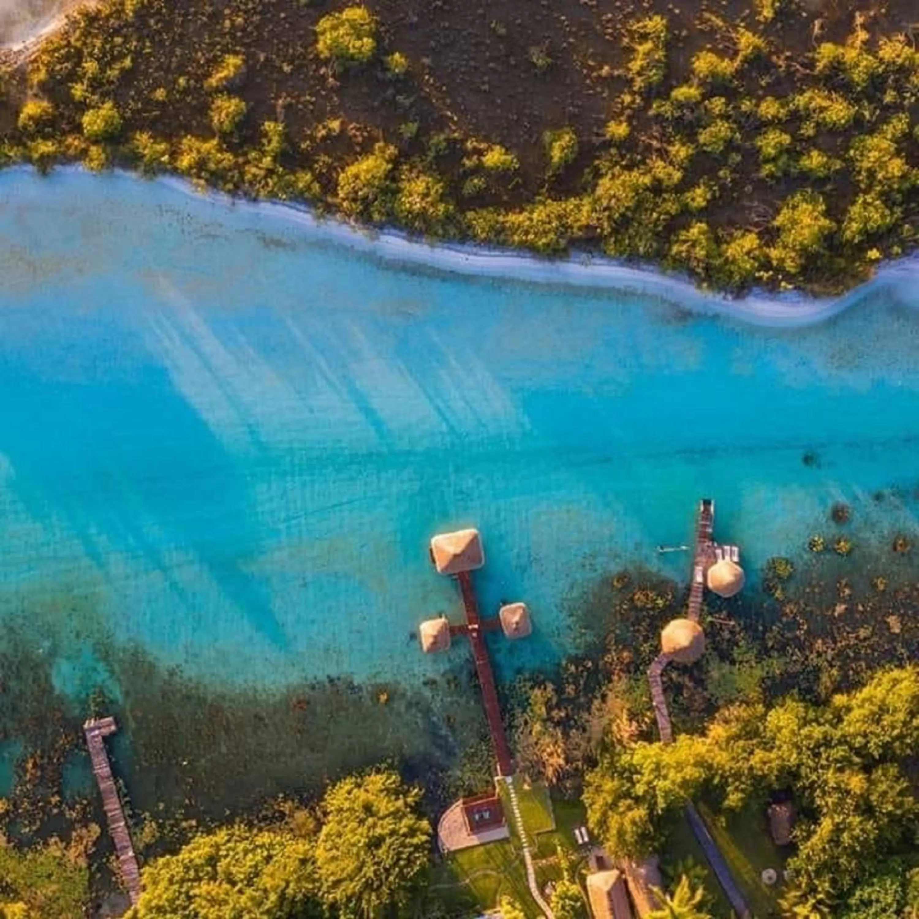 Natural landscape in Casa Shiva Bacalar by MIJ