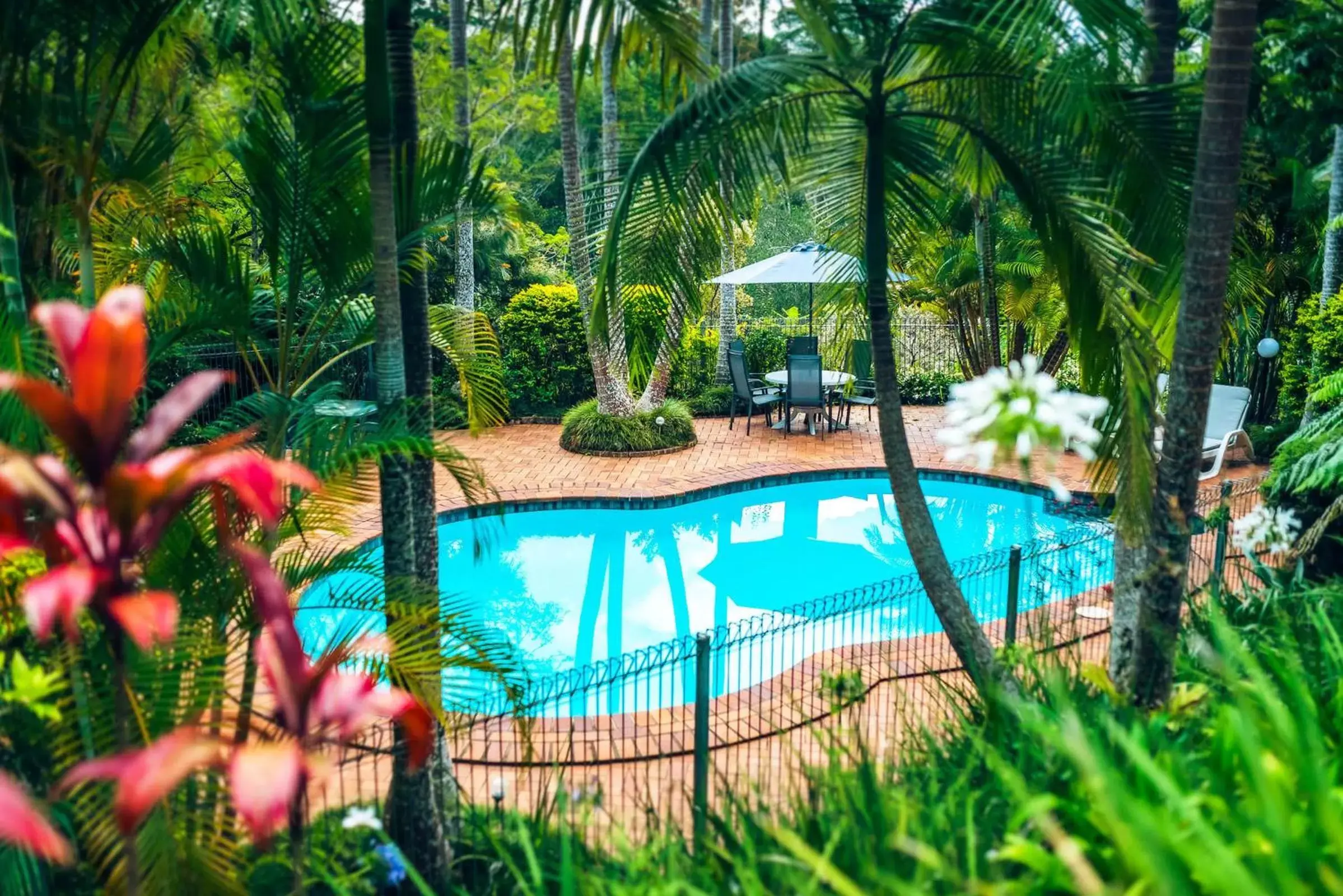 Day, Swimming Pool in Bella Vista Bellingen