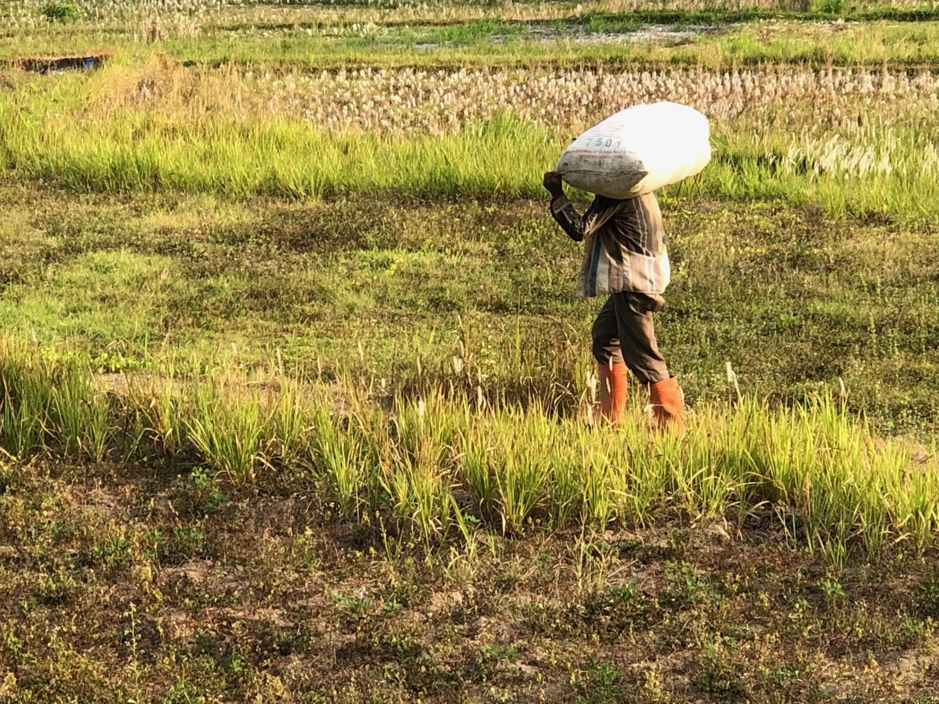 People in Ubad Retreat, A Local Family Run Hotel