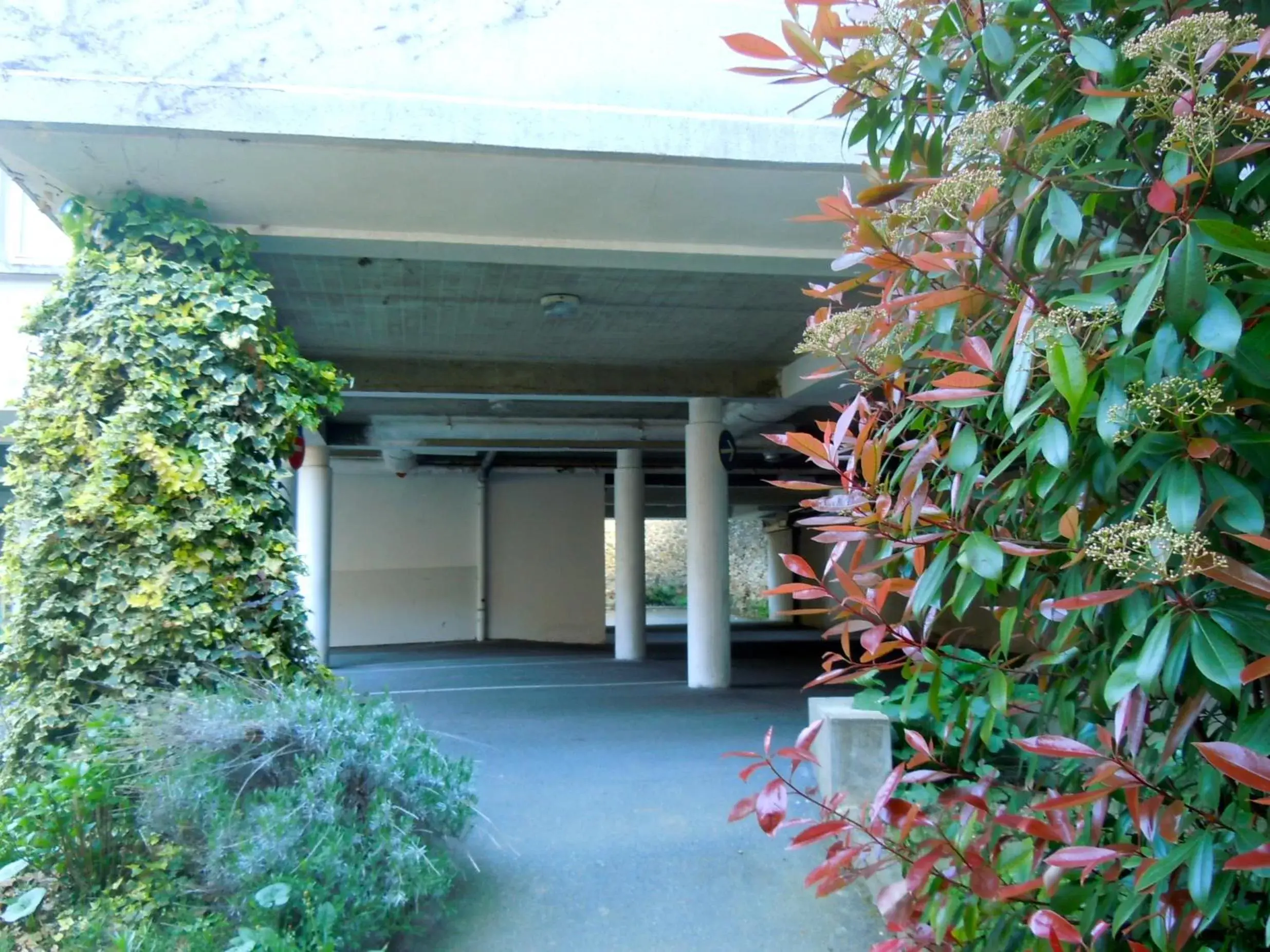 Garden in Ashley Hôtel Le Mans Centre Gare