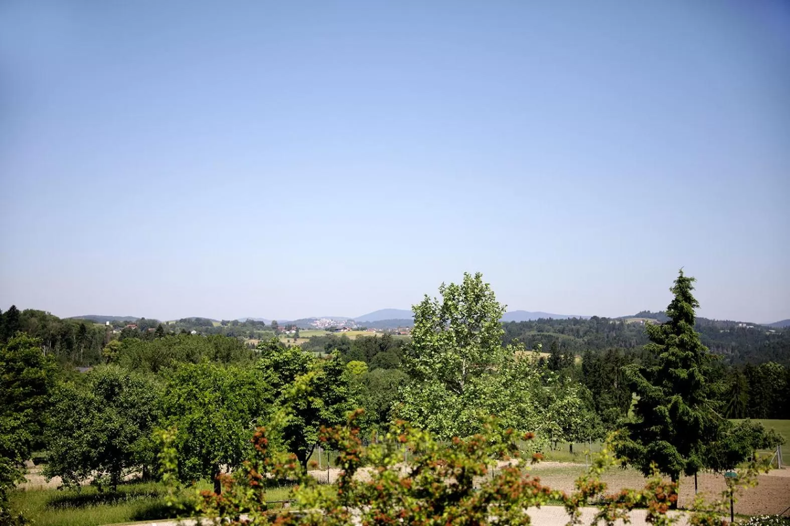 Garden in Schätzlhof OHG