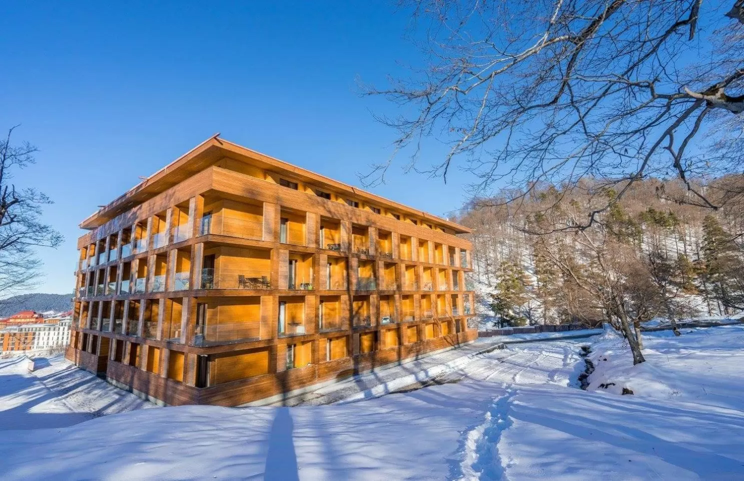 Facade/entrance in Bakuriani the Valley 115 - 202