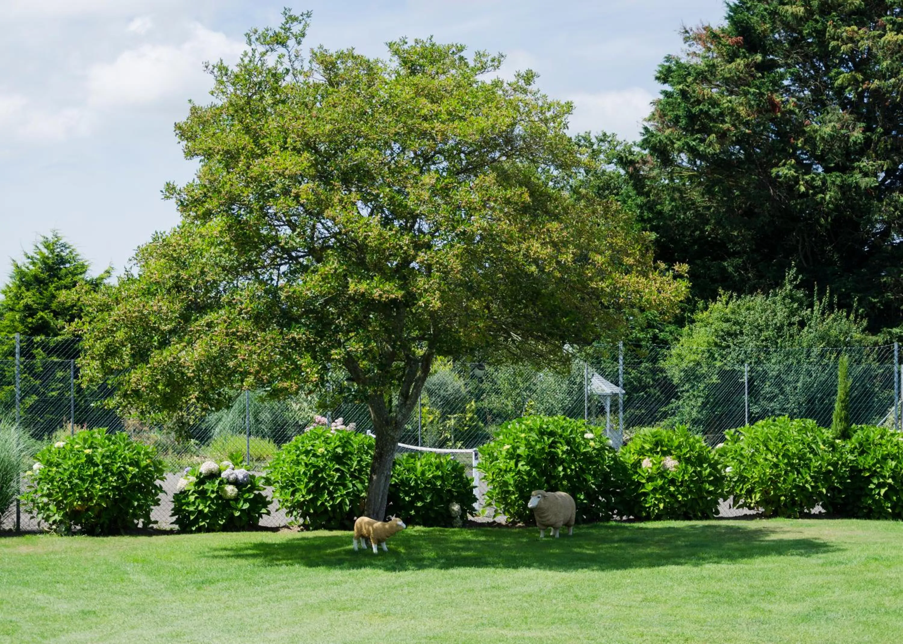 Garden in Beachcombers Hotel