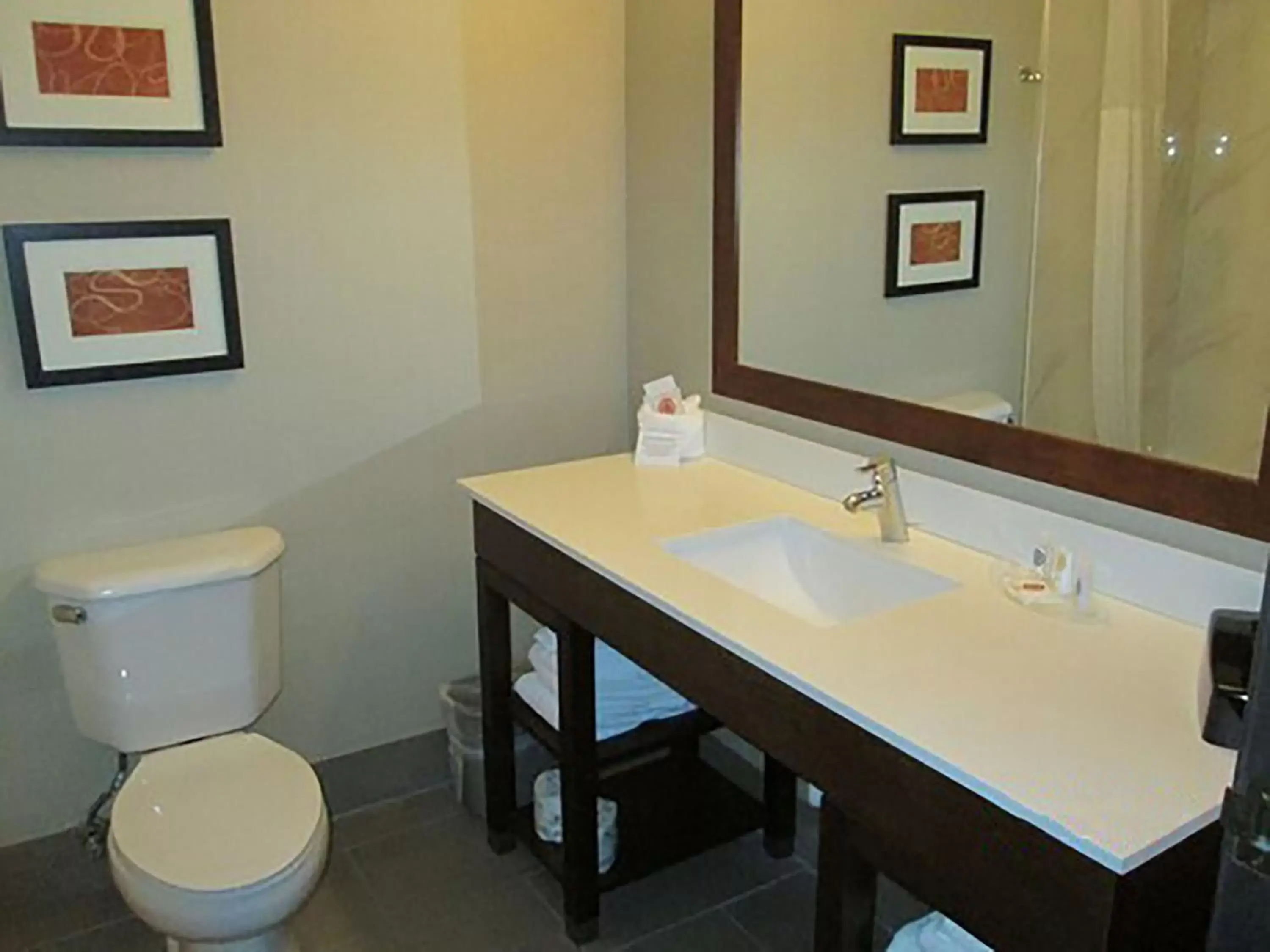 Bathroom in Comfort Suites North Fort Wayne