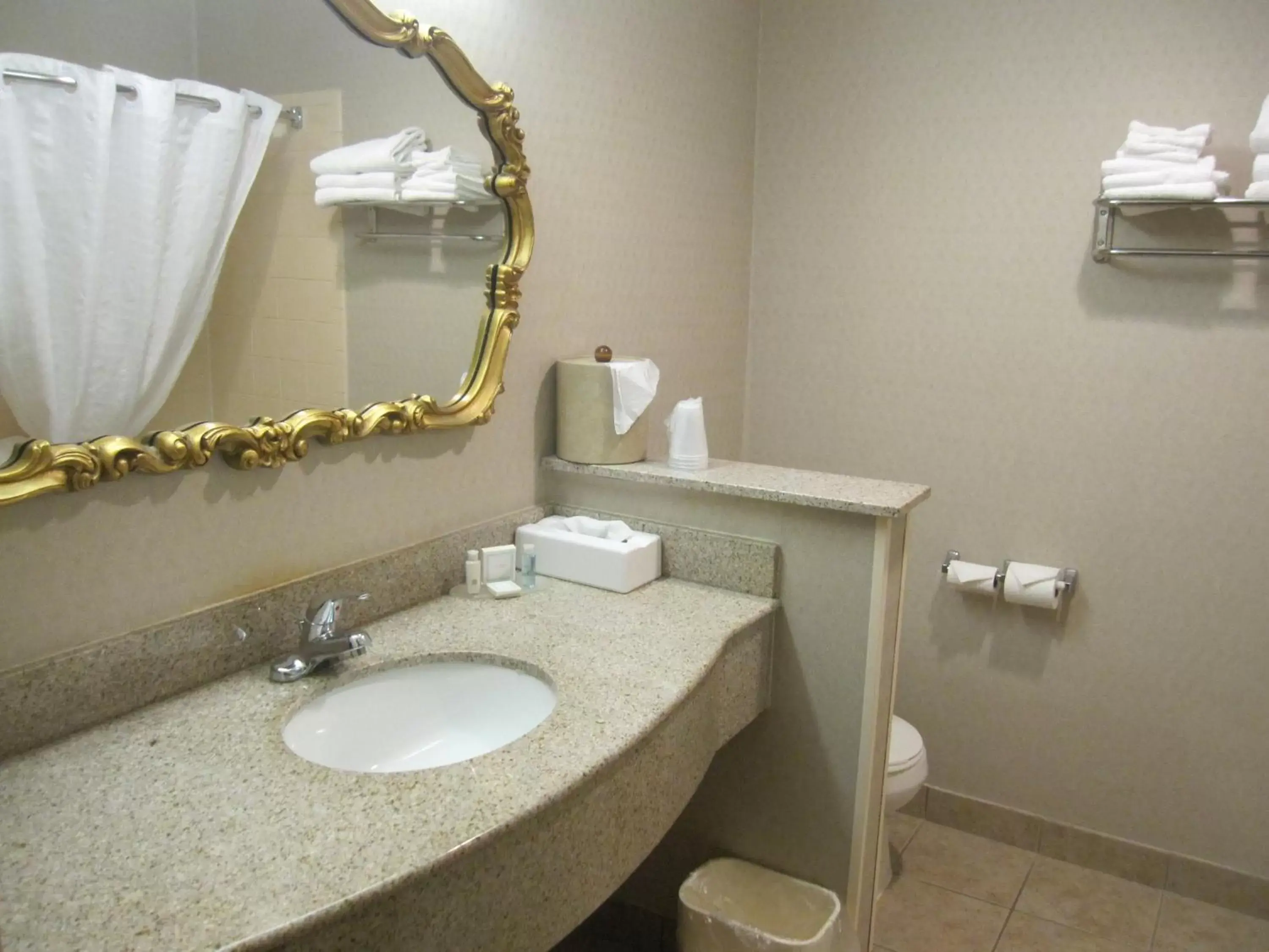 Bathroom in Best Western University Inn