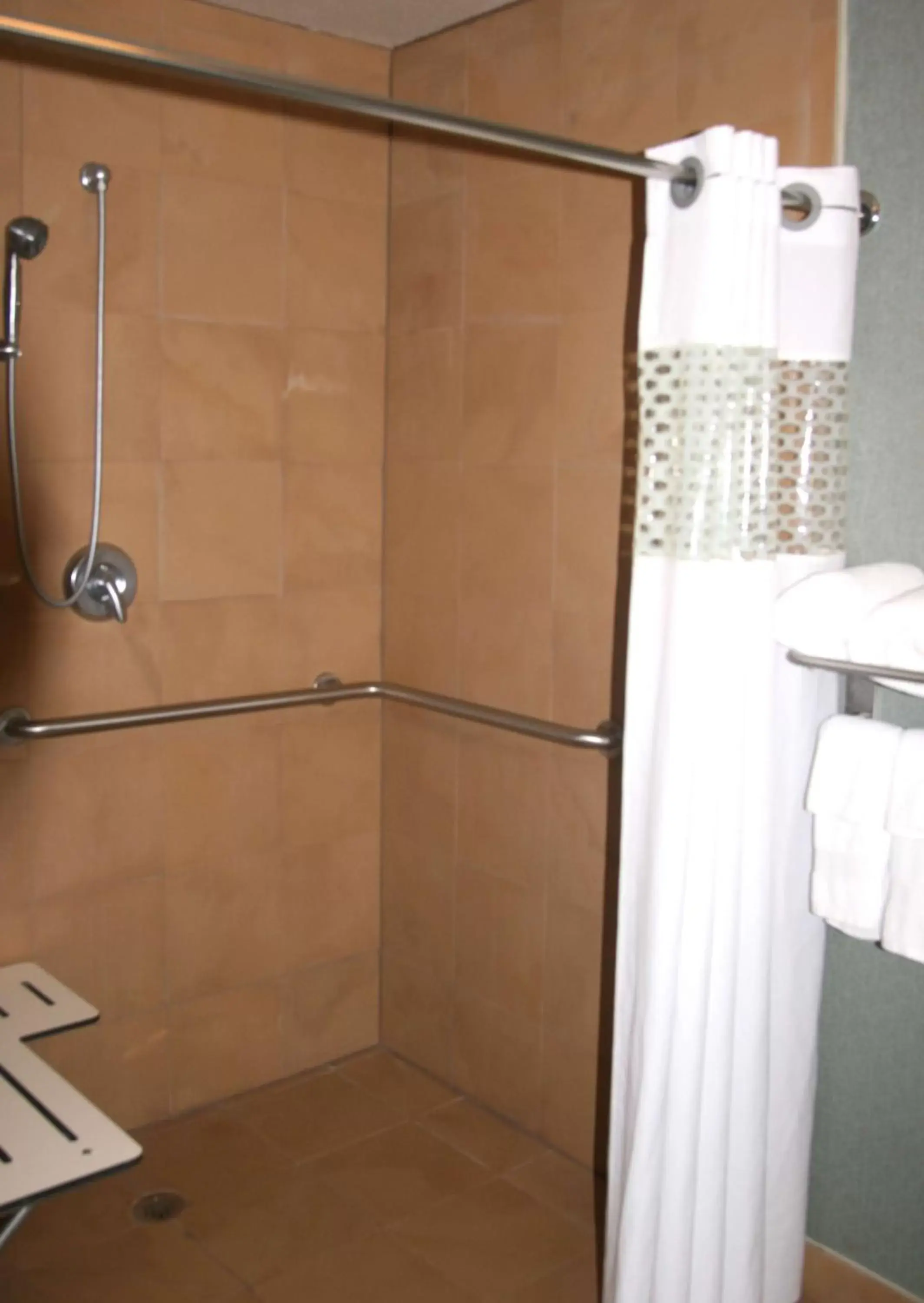 Bathroom in Hampton Inn and Suites Lake Jackson-Clute