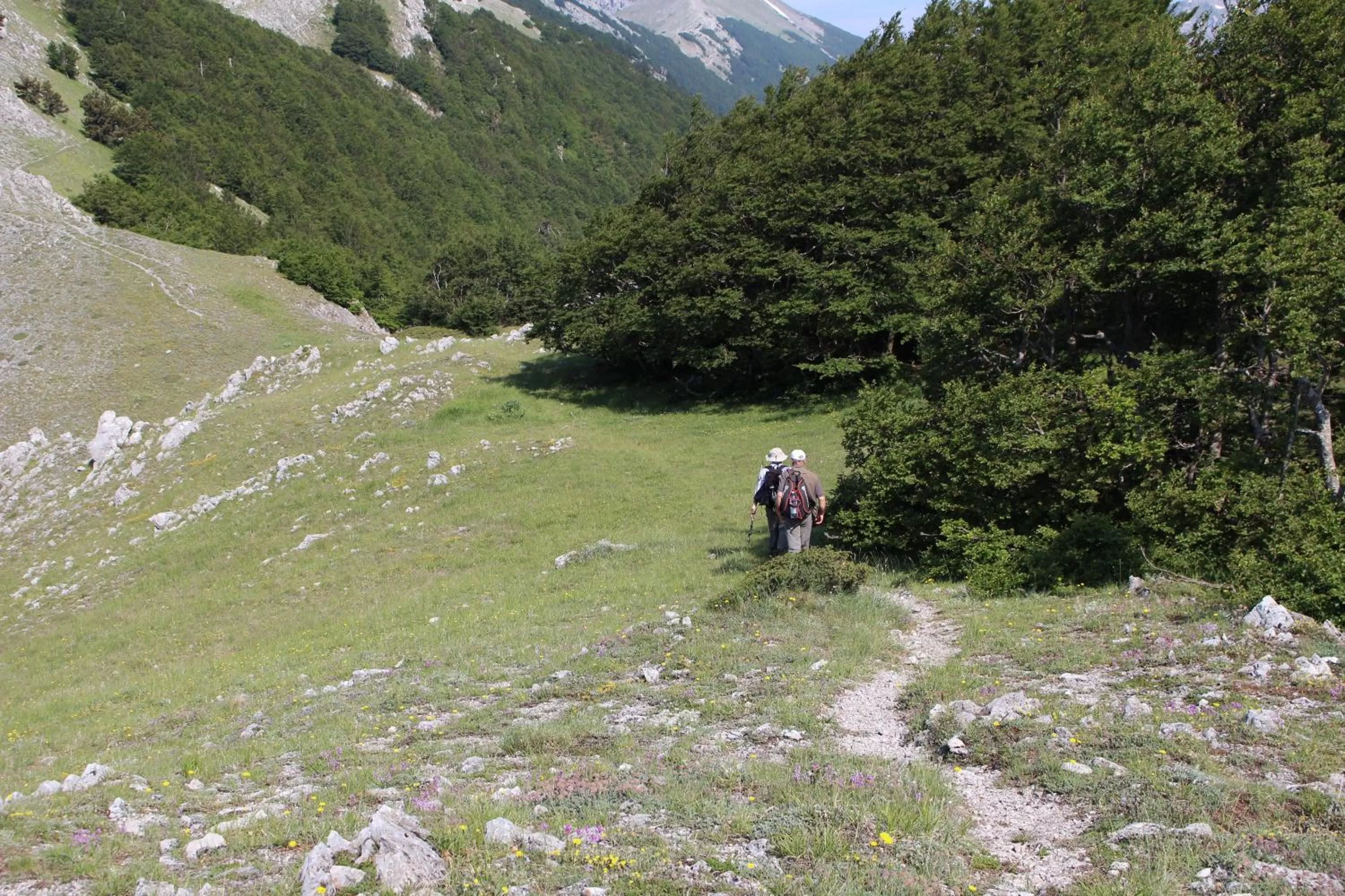 Natural landscape in B&B Esperança