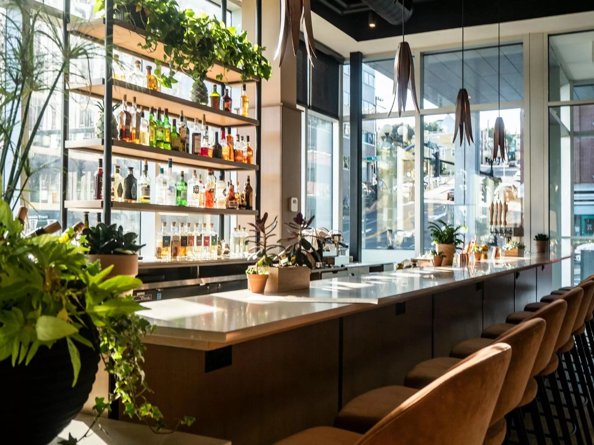 Restaurant/places to eat in Alt Hotel St. John's