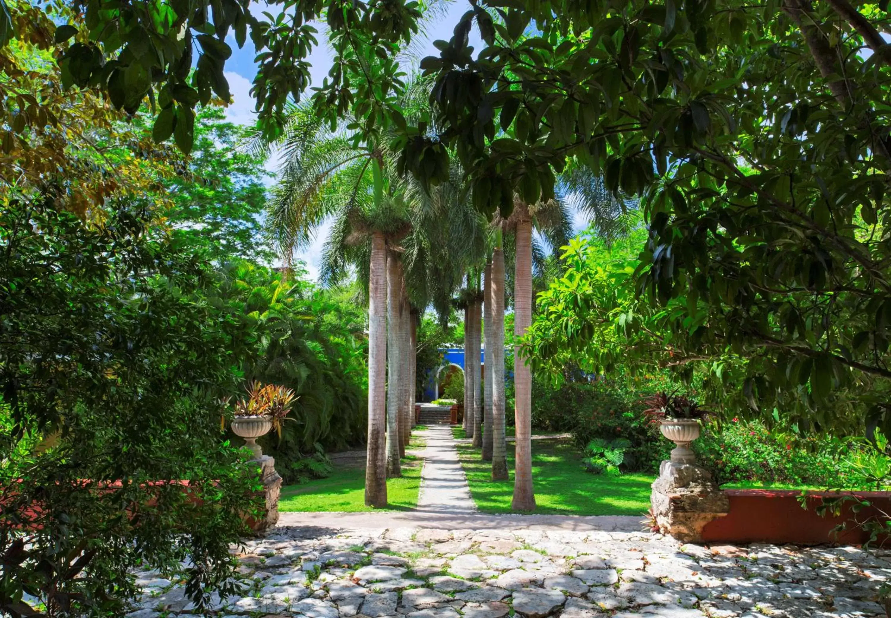 Property building, Garden in Hacienda San Jose