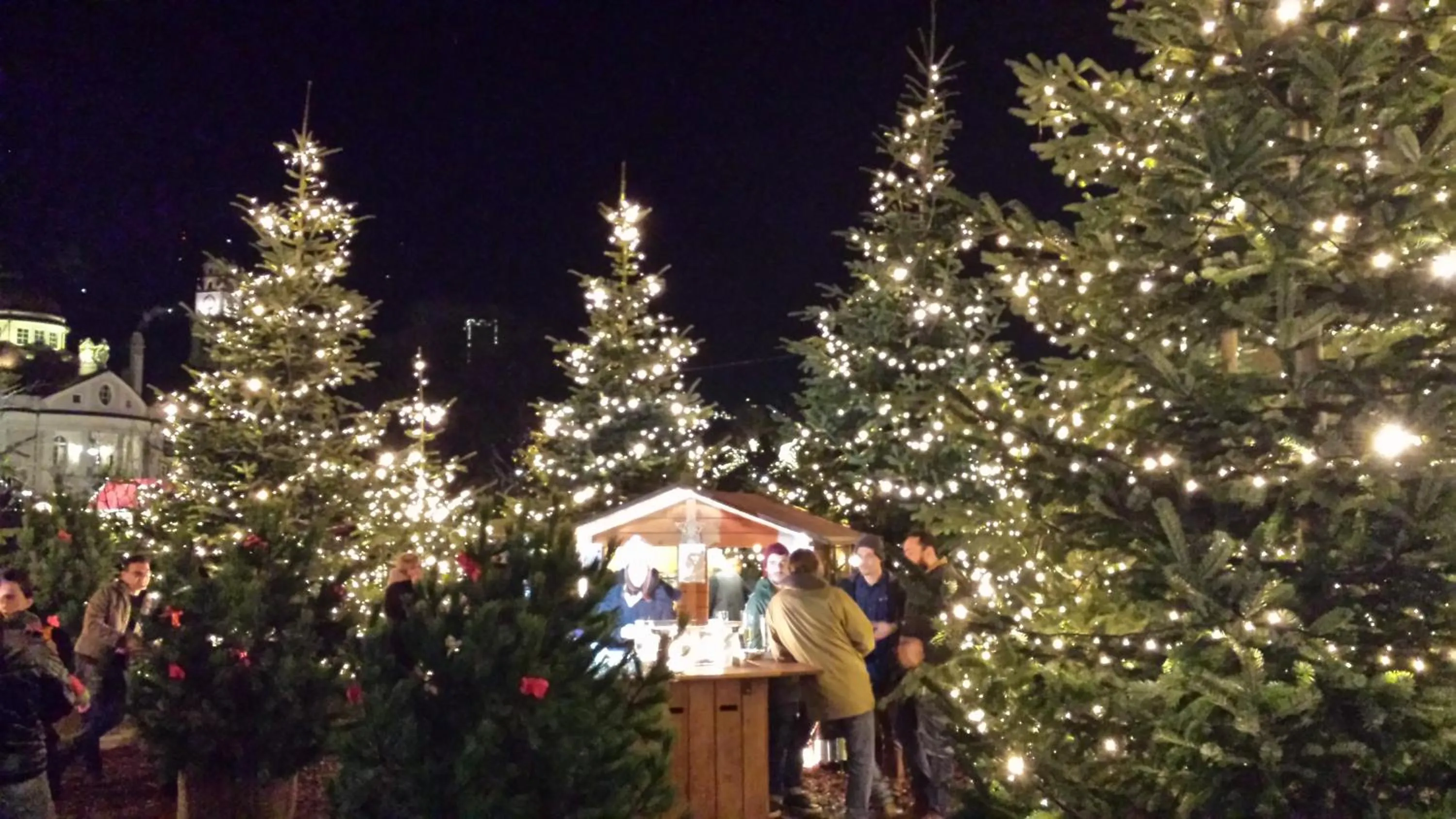 Winter in Classic Hotel Meranerhof