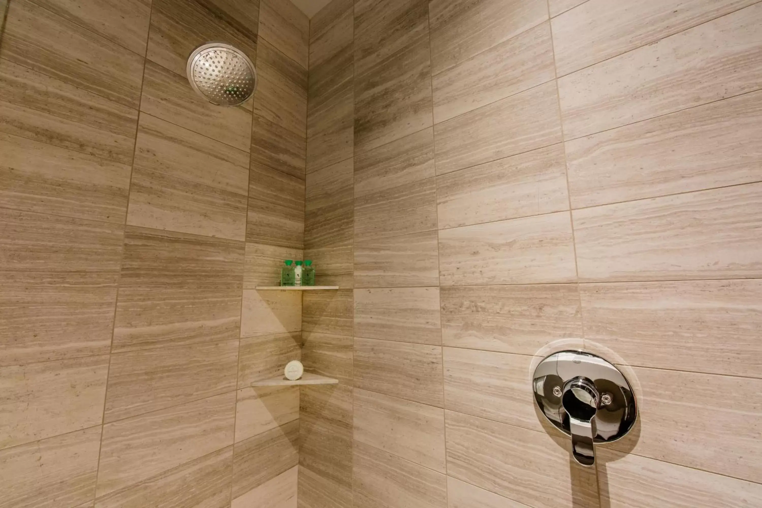 Shower, Bathroom in Mosaic Hotel Beverly Hills