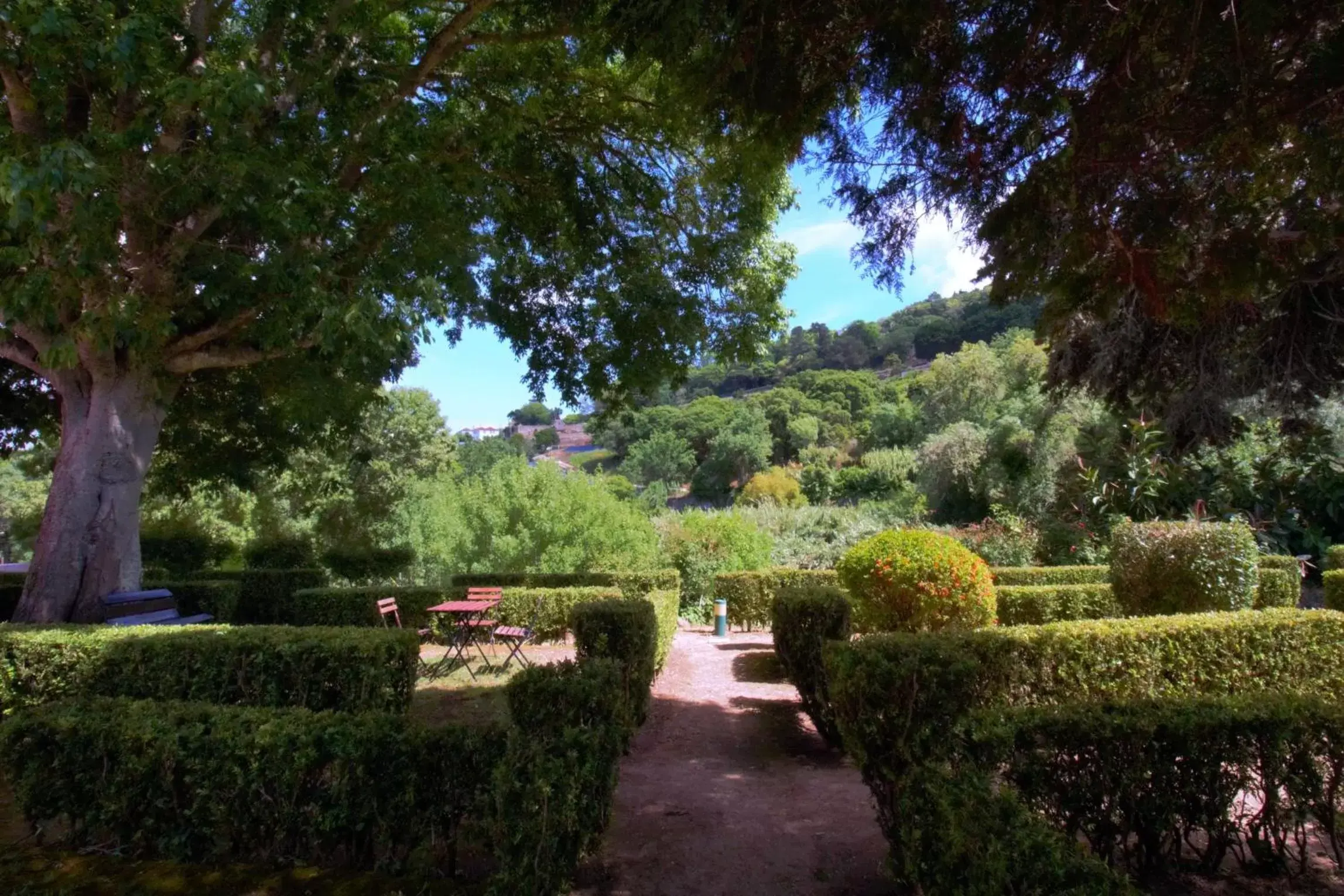 Garden in WOT Sintra Sarrazola