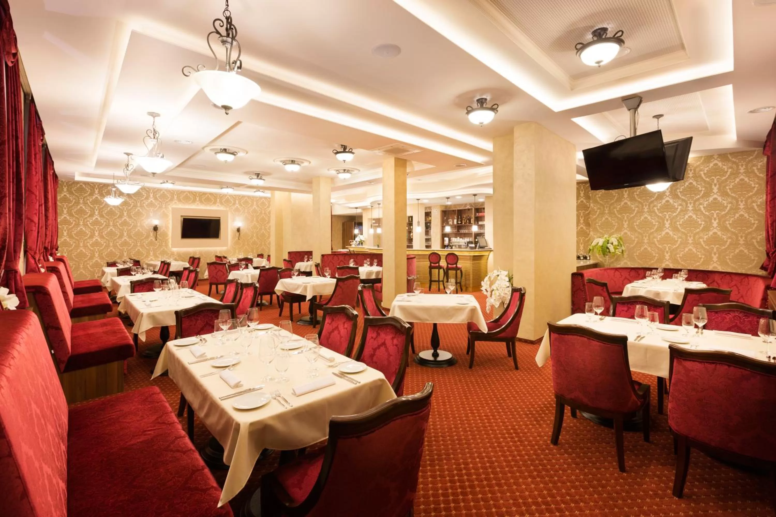 Restaurant/places to eat in Hotel Dvorana