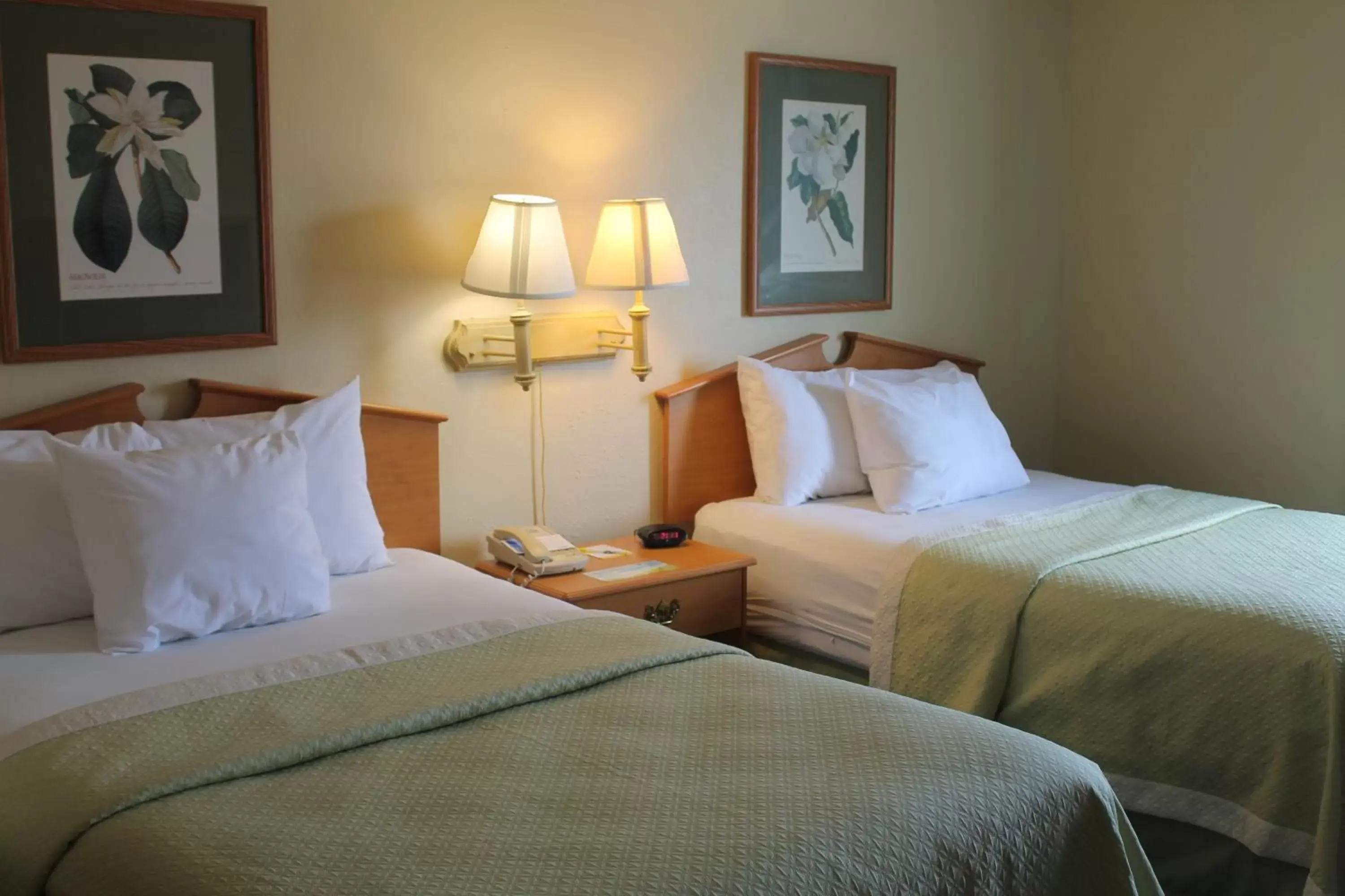 Bed in Days Inn & Suites by Wyndham Bridgeport - Clarksburg