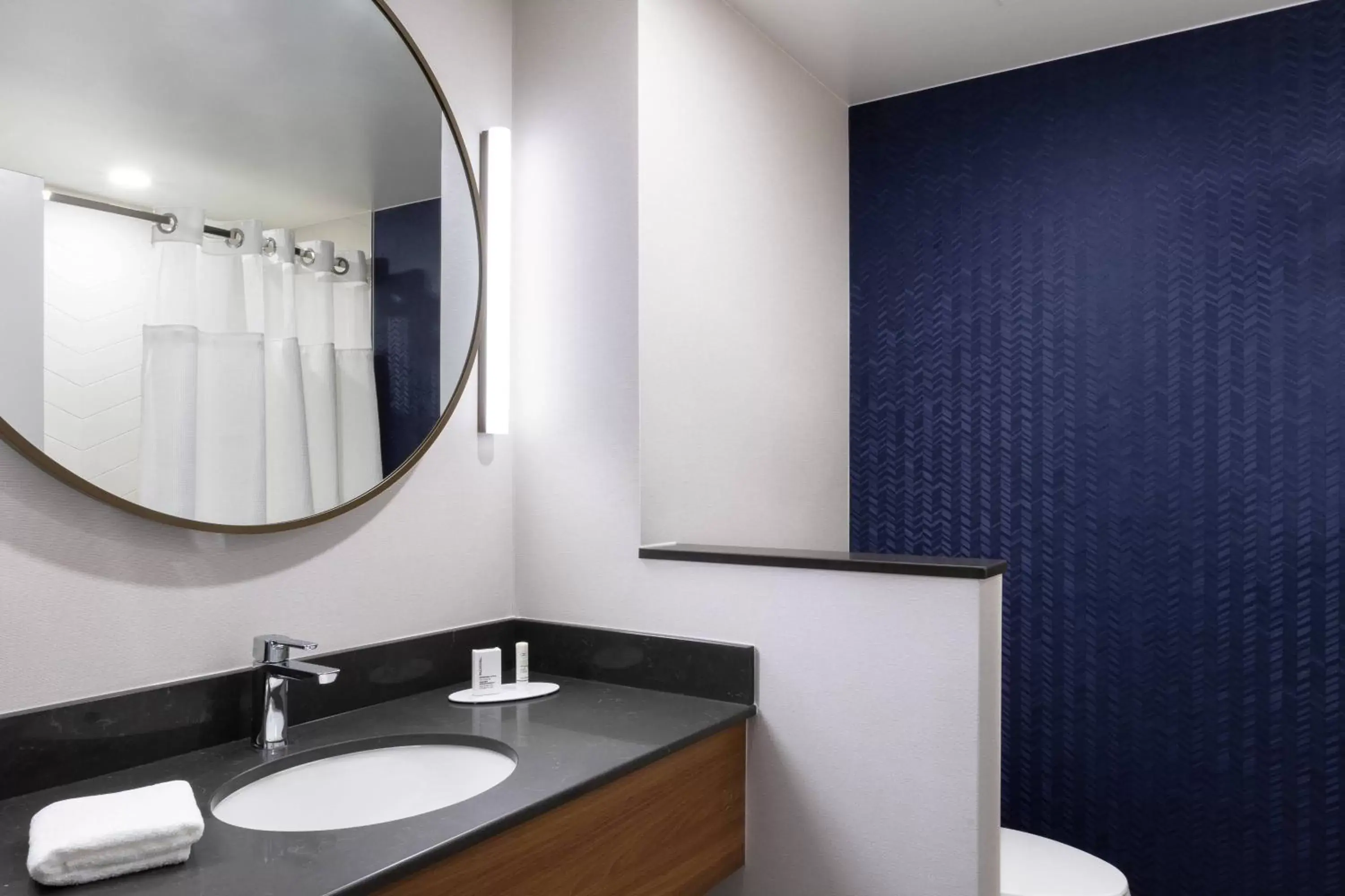 Bathroom in Fairfield by Marriott Inn and Suites O Fallon IL