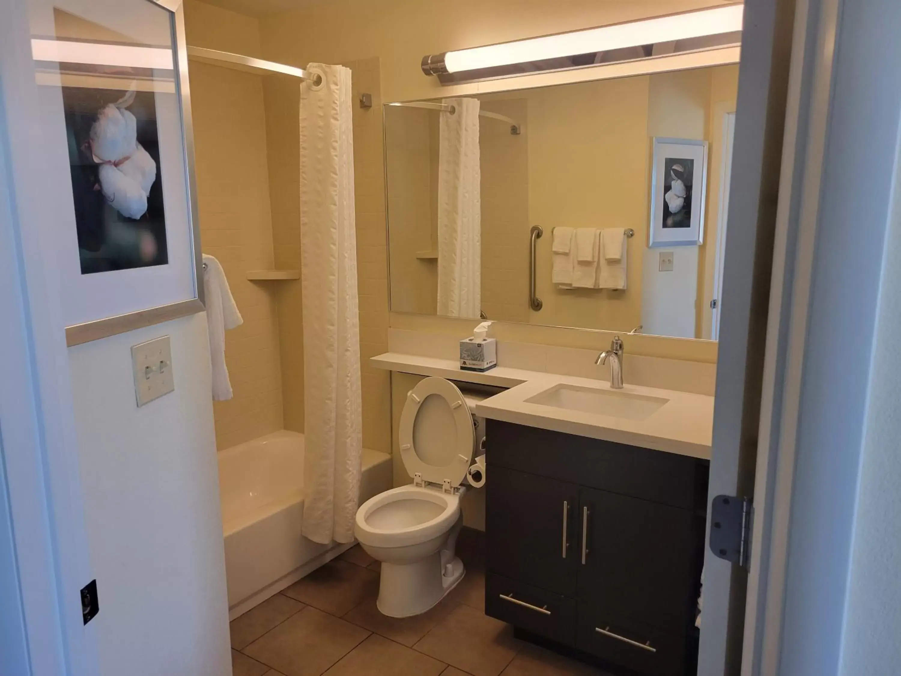 Bathroom in Candlewood Suites Smyrna - Nashville , an IHG Hotel