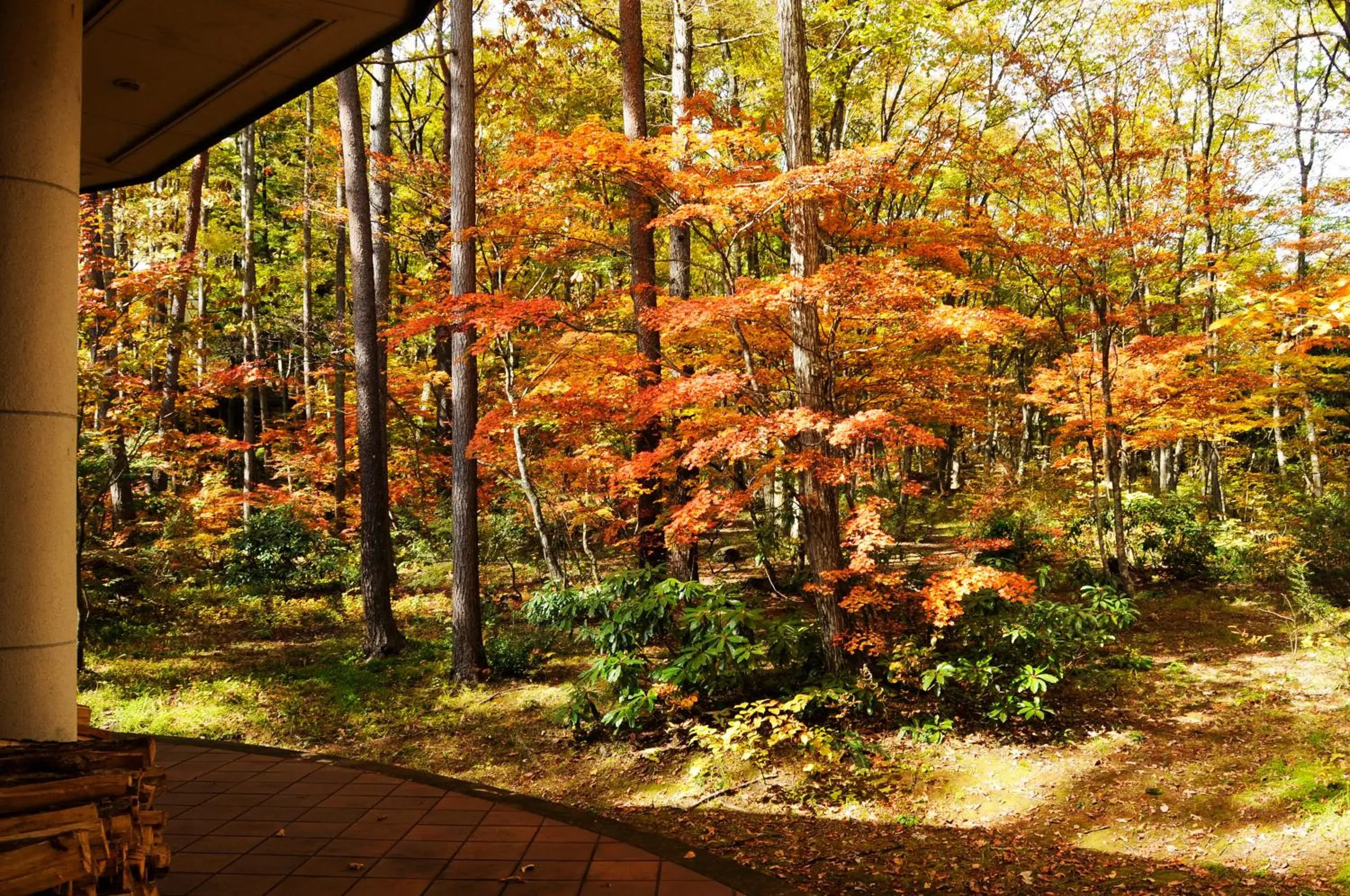 Autumn in Hakuba Resort Hotel La Neige Higashikan