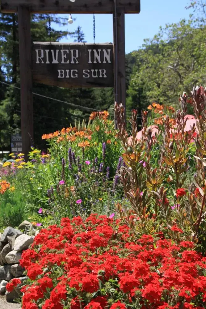 Garden, Property Building in Big Sur River Inn