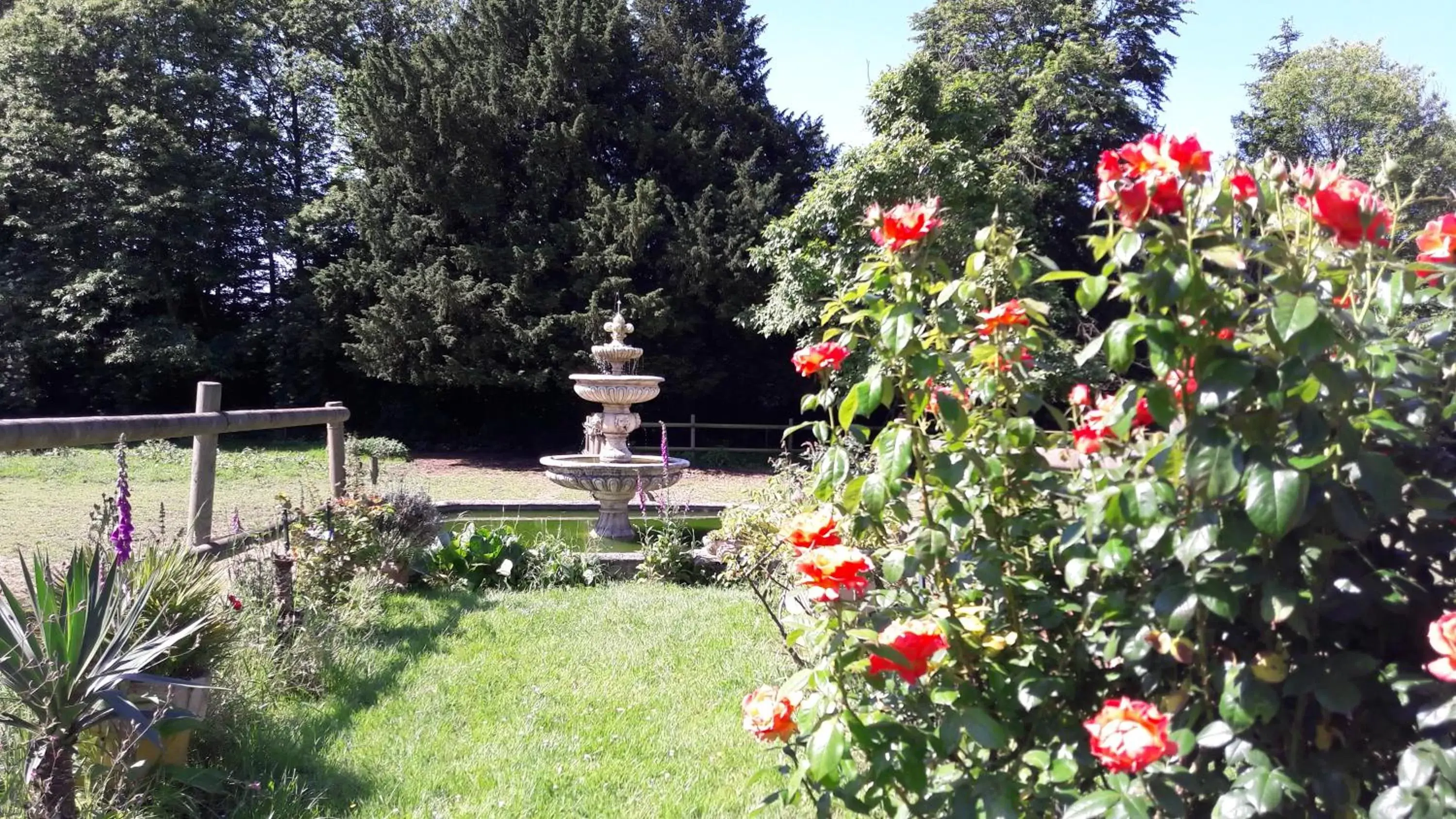 Garden view, Garden in Manoir de la Peignie