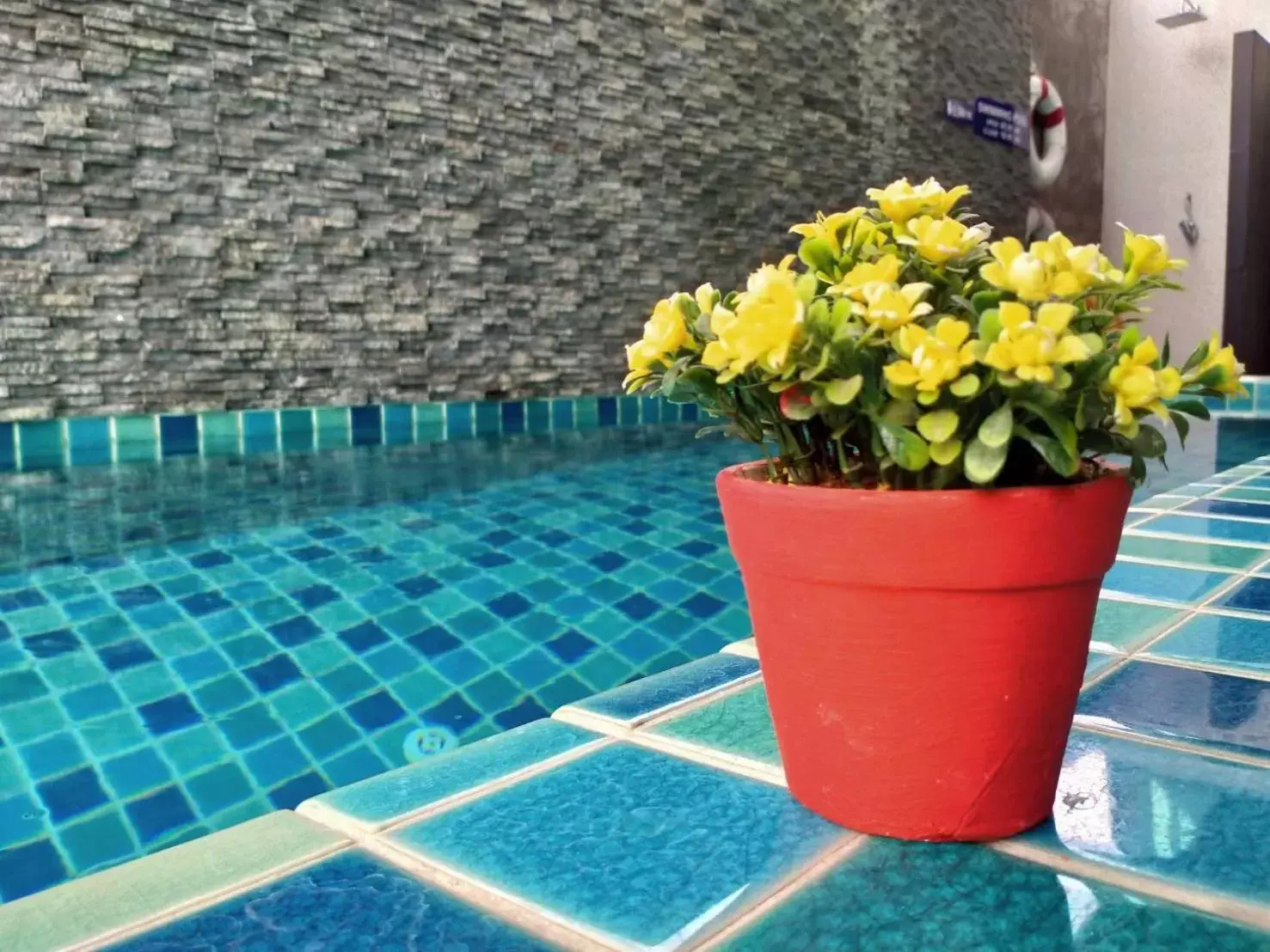 Pool view, Swimming Pool in Hotel De Nara-SHA Extra Plus