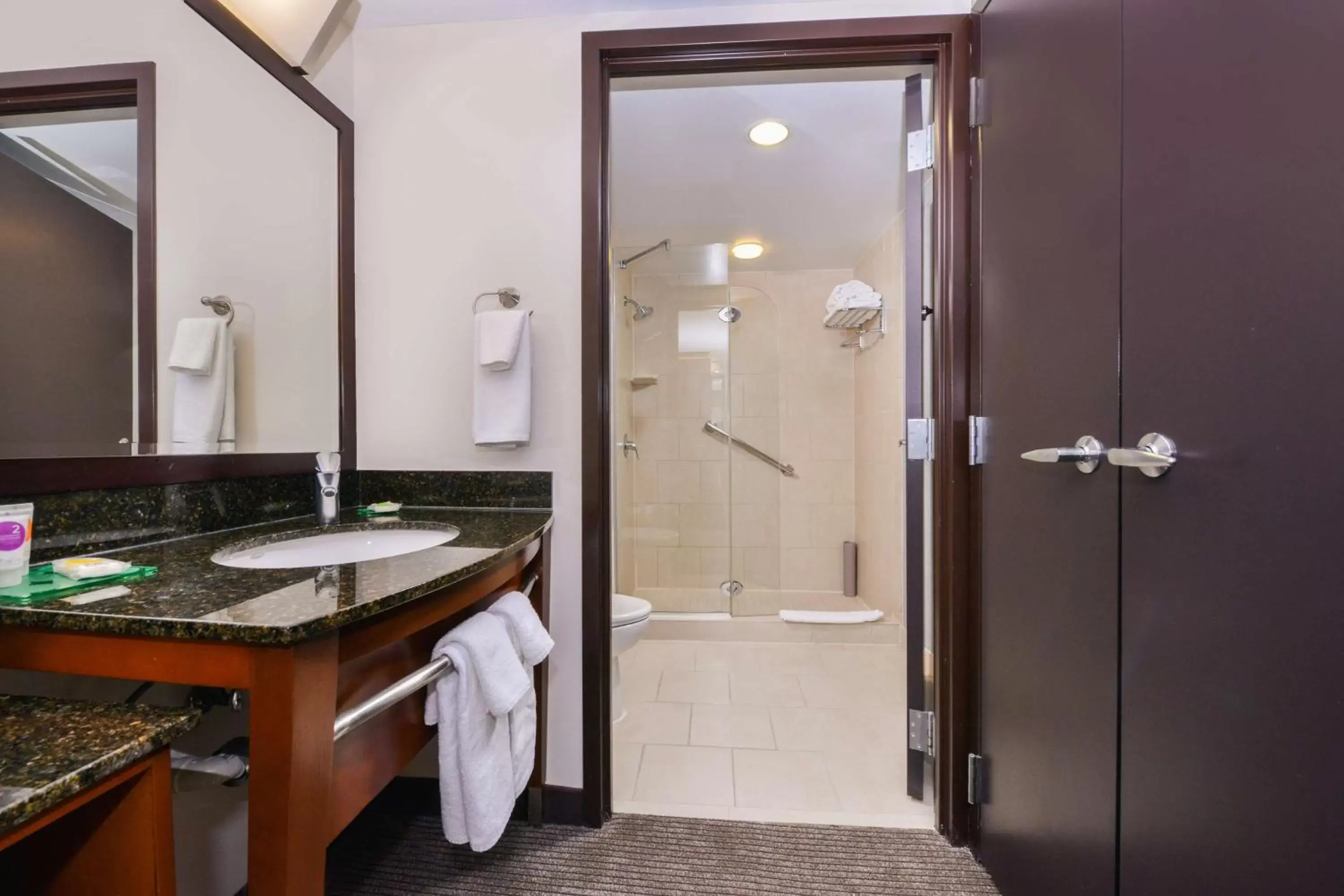 Bathroom in Hyatt Place Herndon Dulles Airport - East