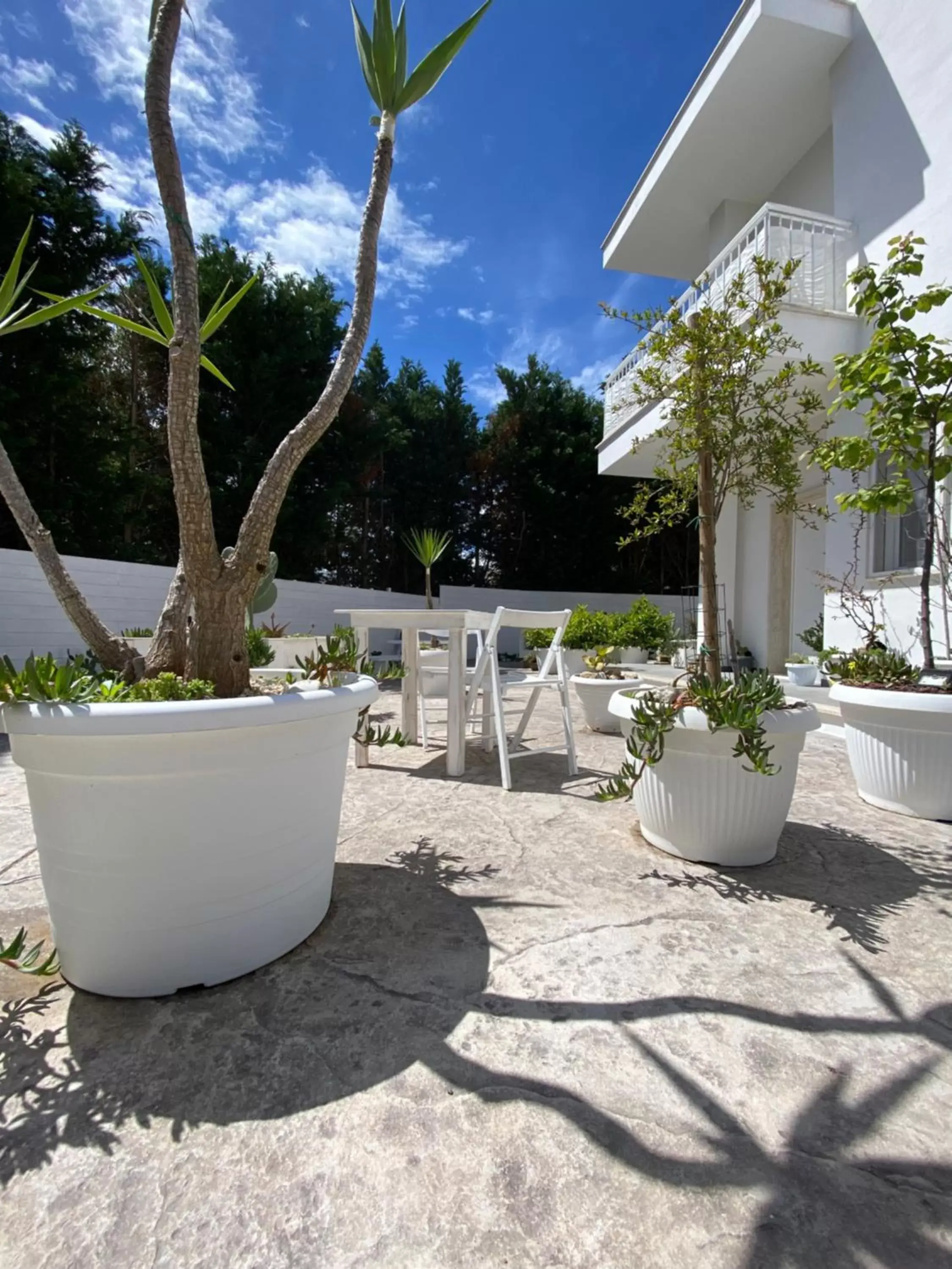 Garden view in La casa di Nina