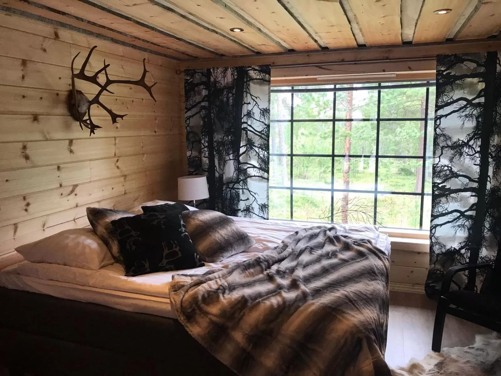 Photo of the whole room, Bed in Wilderness Hotel Nangu & Igloos