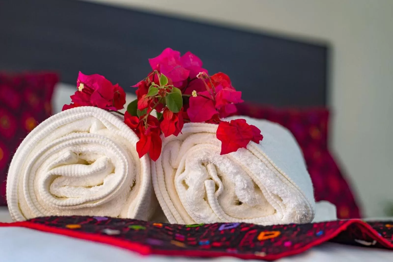 towels in Hotel Maculís