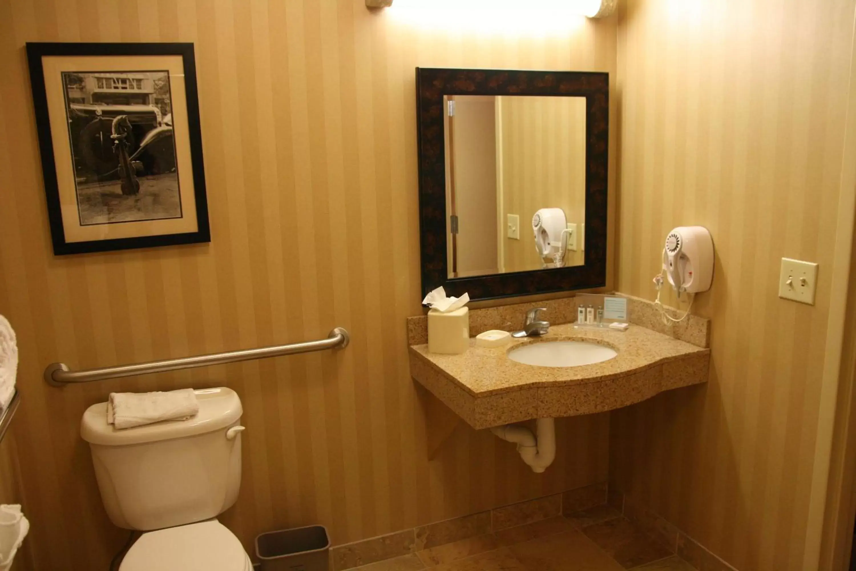 Bathroom in Hampton Inn & Suites Mobile Providence Park/Airport