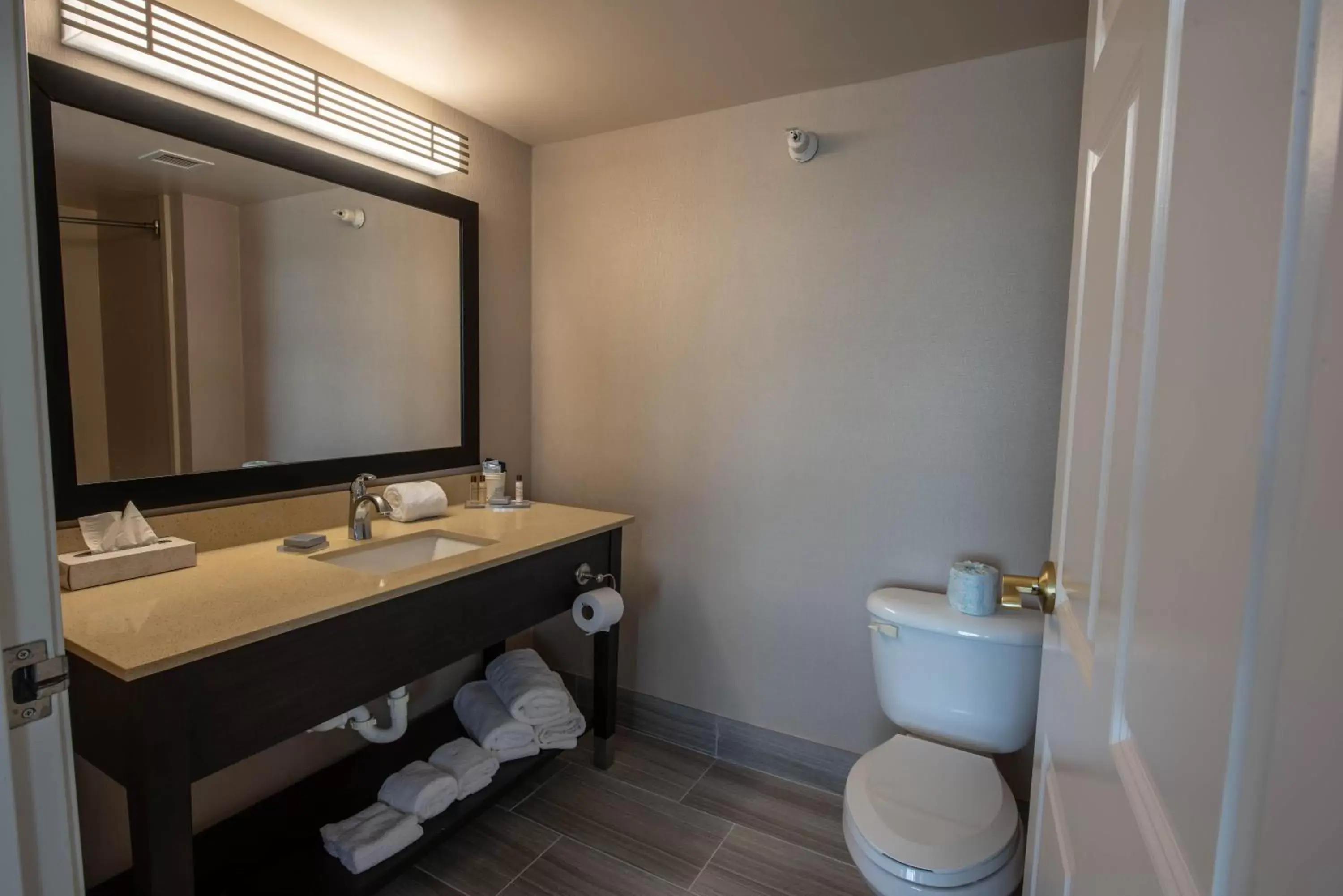 Toilet, Bathroom in Wingate by Wyndham Indianapolis Airport Plainfield