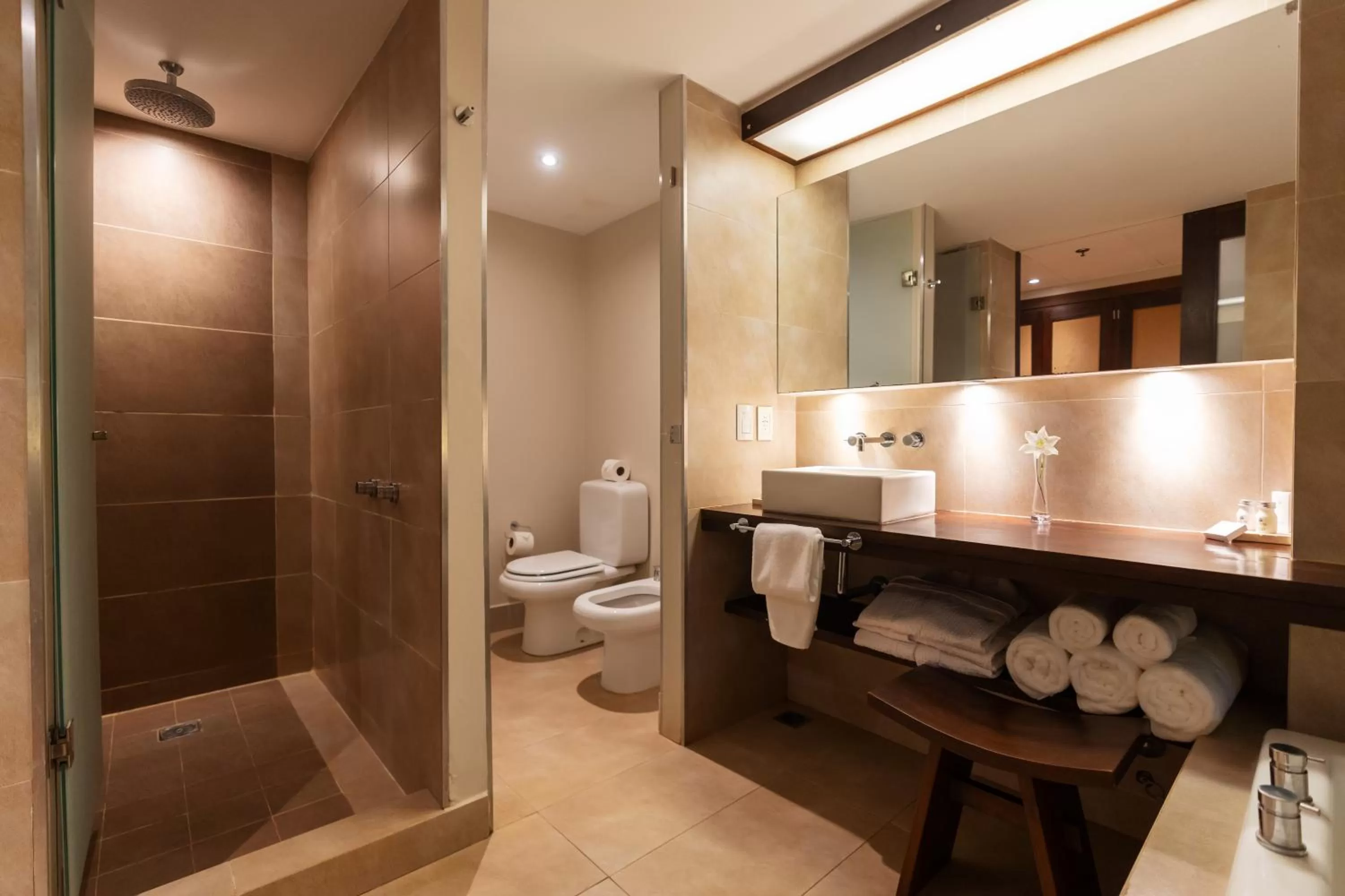 Bathroom in Loi Suites Iguazu Hotel